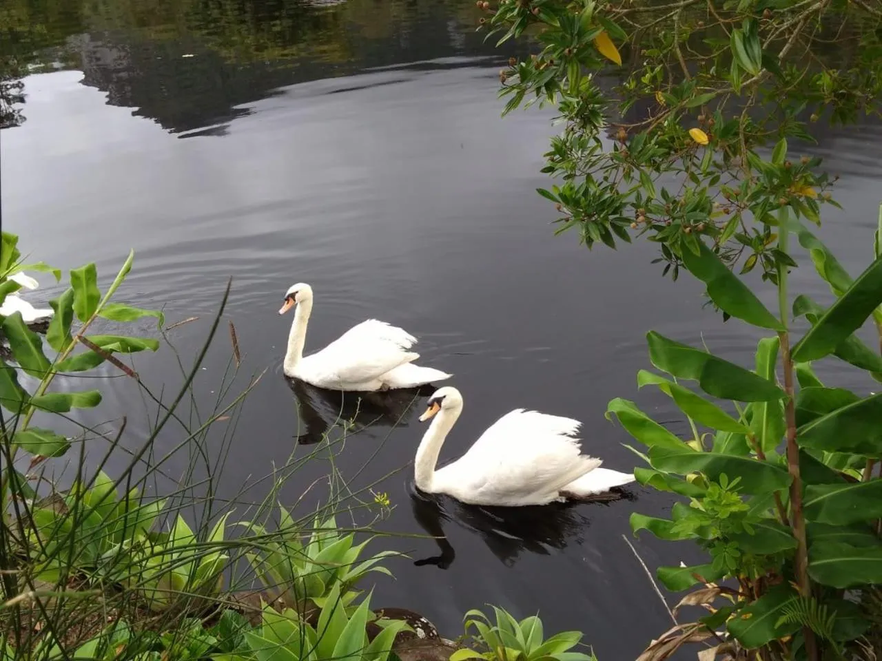 Animals in Pousada Pedra Azul