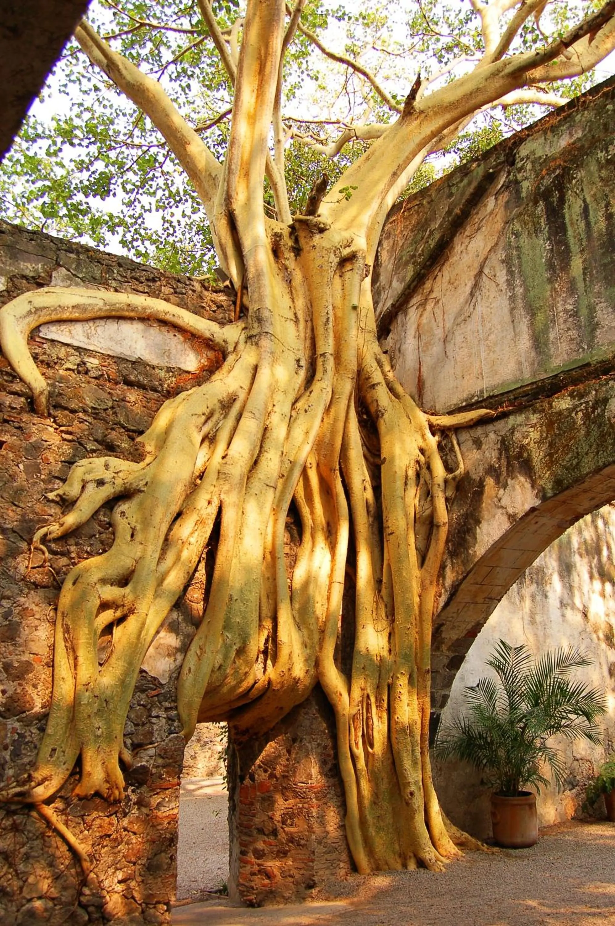 Day in Hotel & Spa Hacienda de Cortés