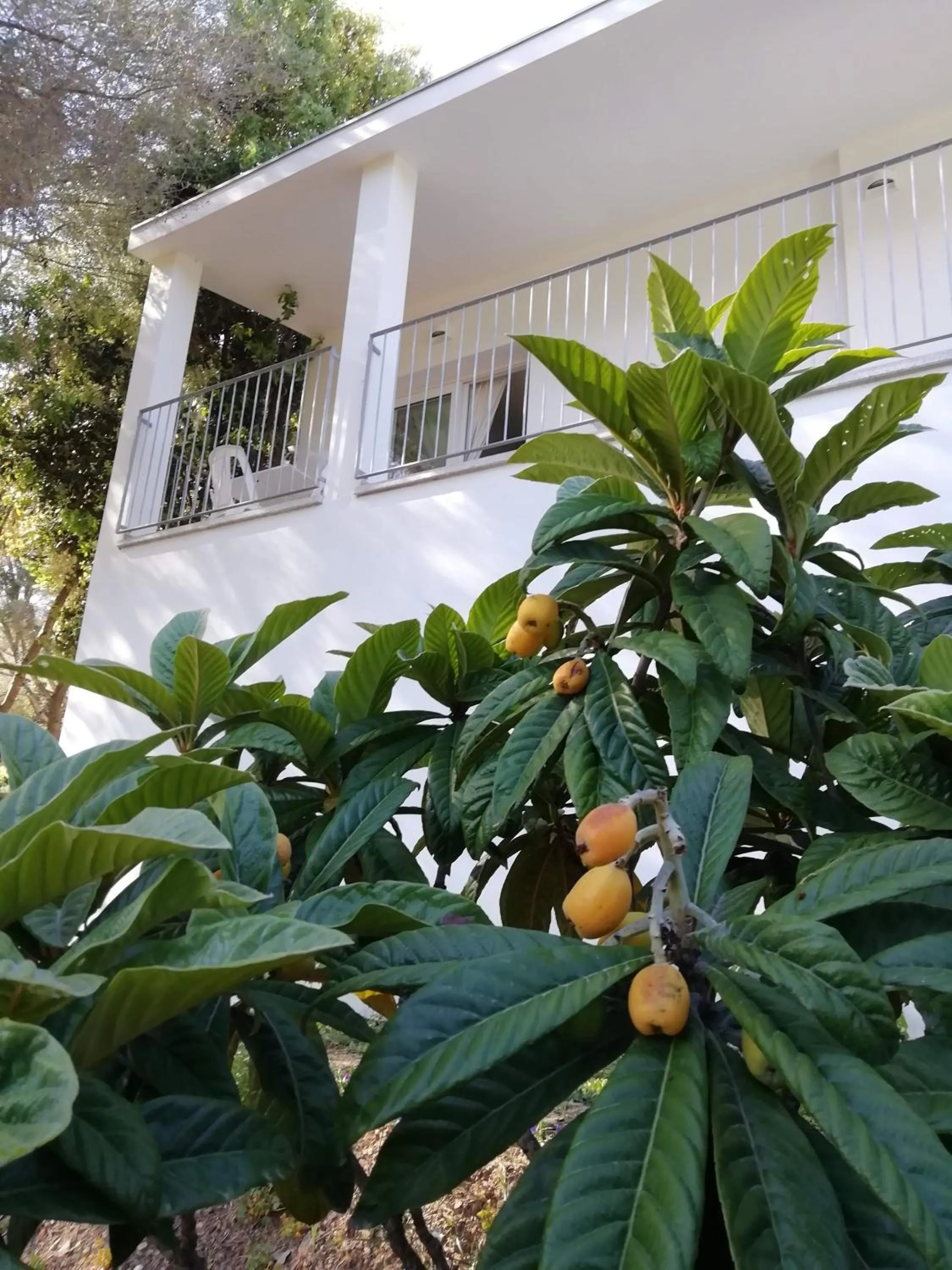 Property building in In campagna da Nino