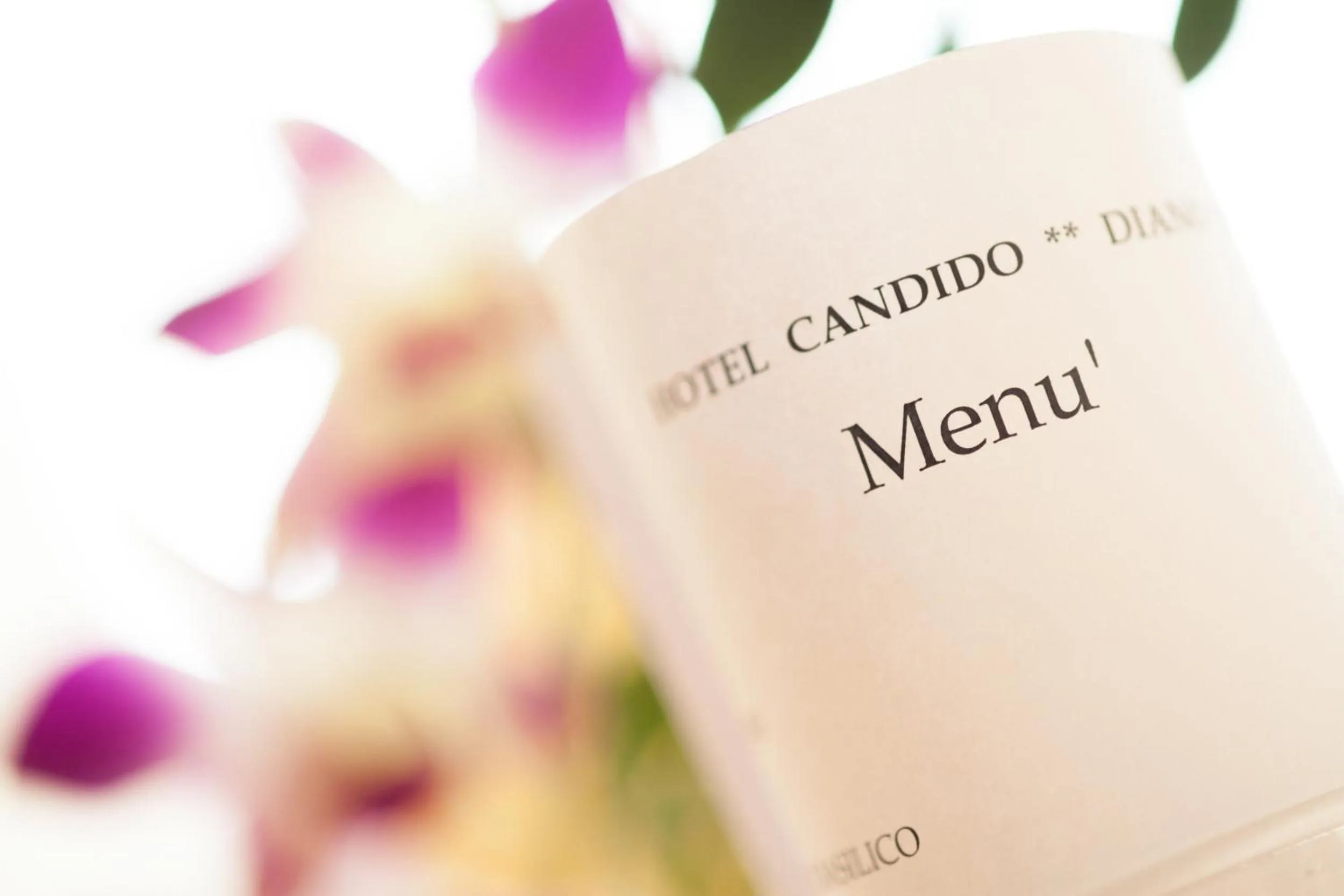 Text overlay in Hotel Candido