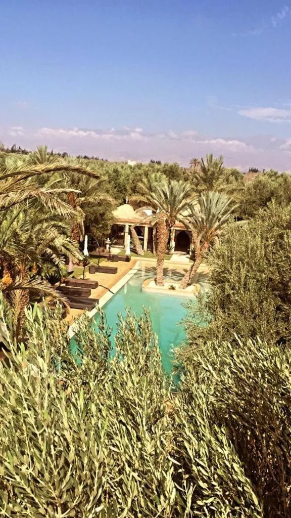 Garden view in Riad le Jasmin