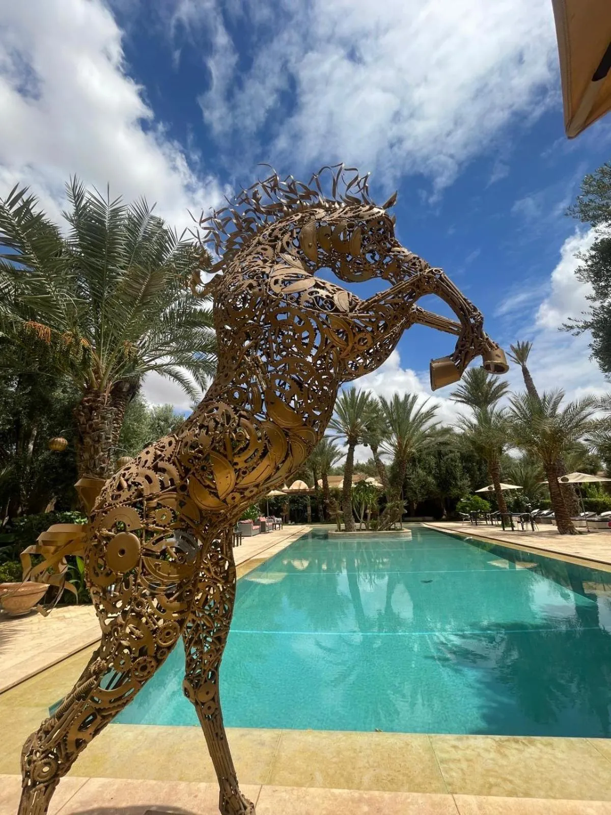 Pool view in Riad le Jasmin