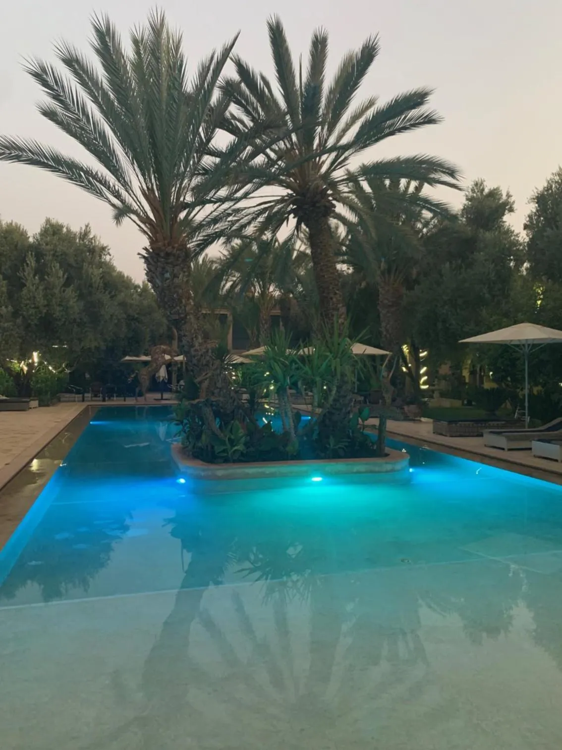 Swimming pool in Riad le Jasmin