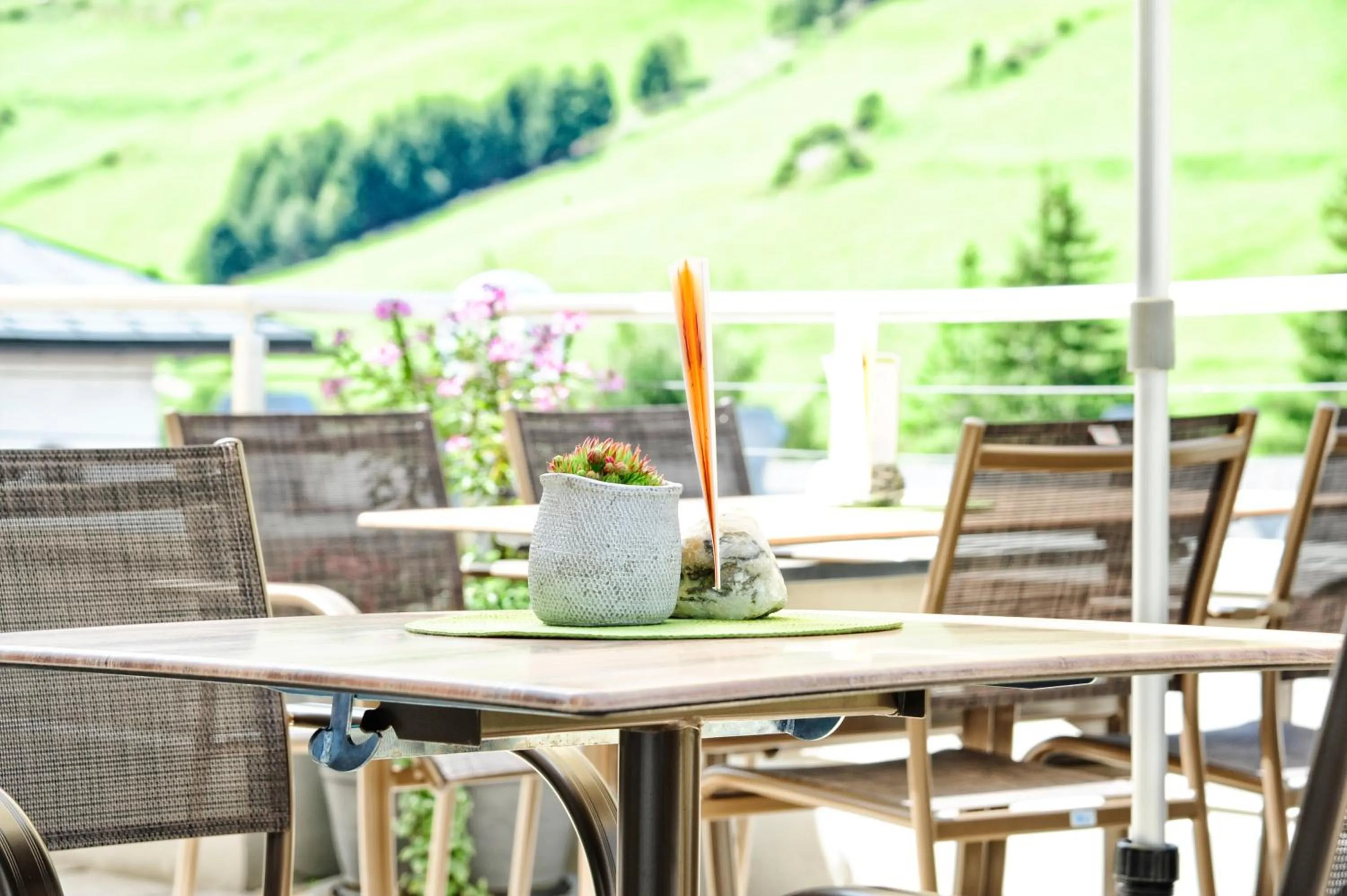 Garden in Hotel Arnika