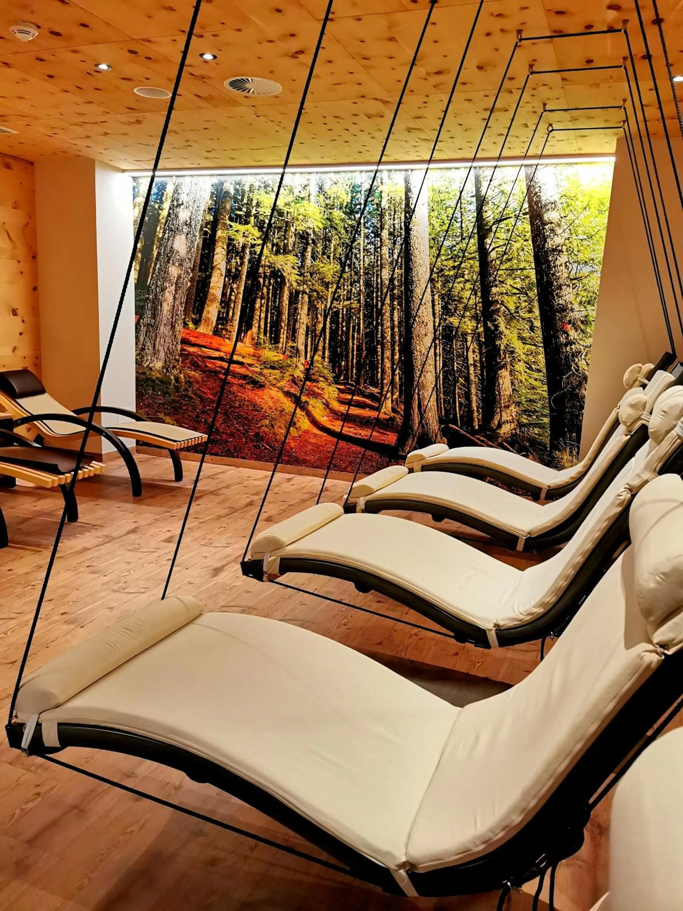 Spa and wellness centre/facilities in Hotel Arnika