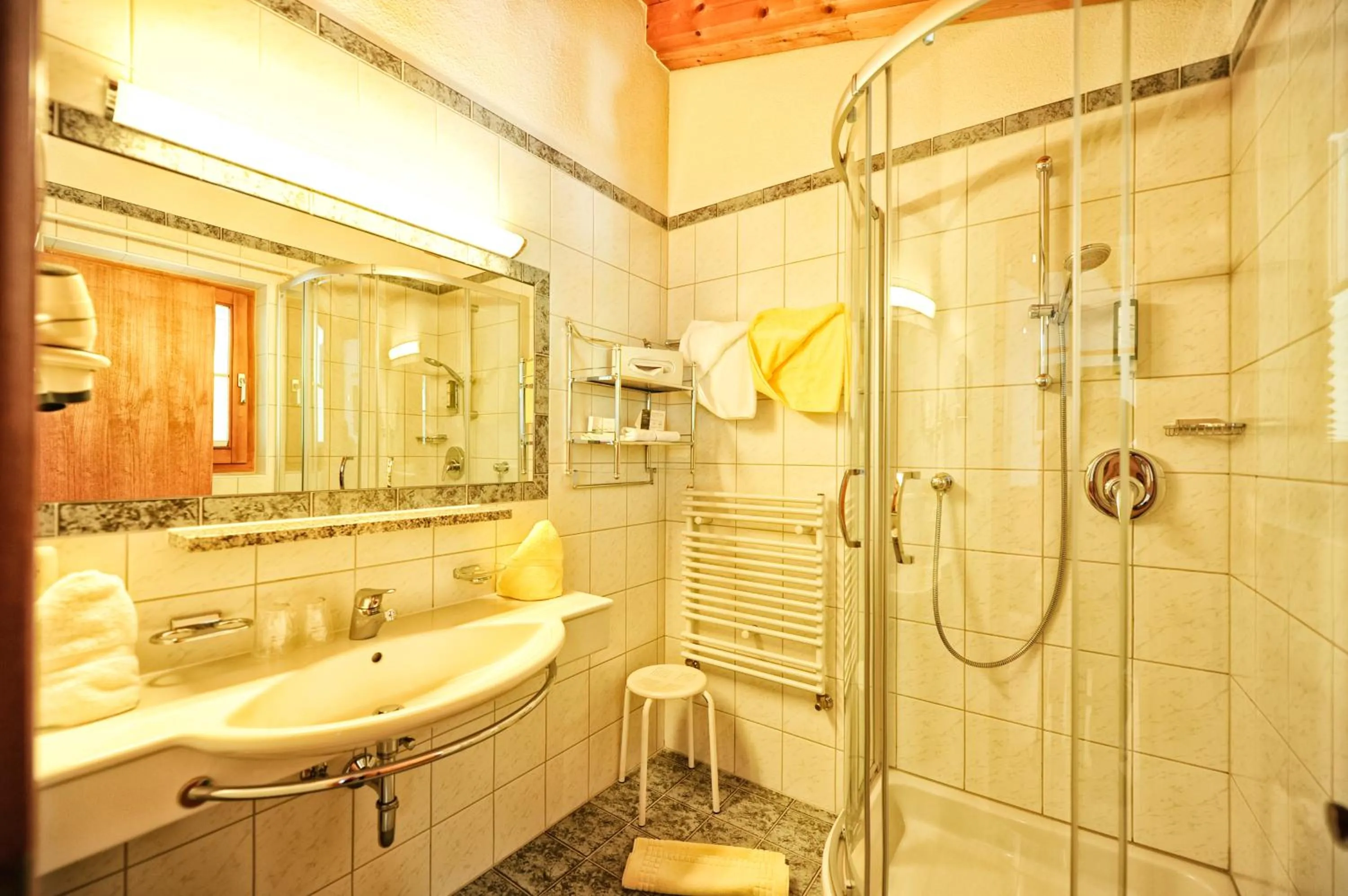 Toilet in Hotel Arnika