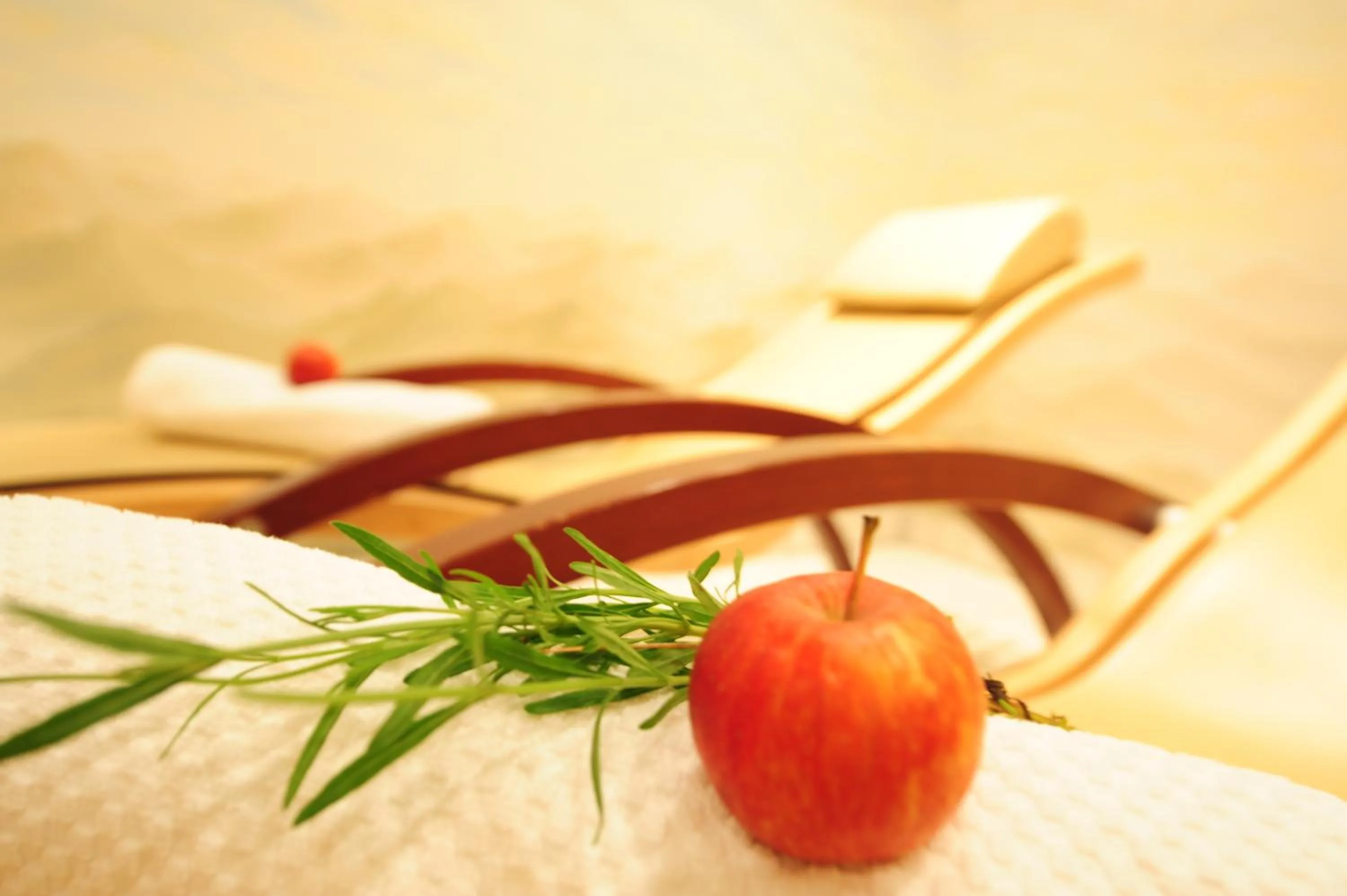 Sauna in Hotel Arnika