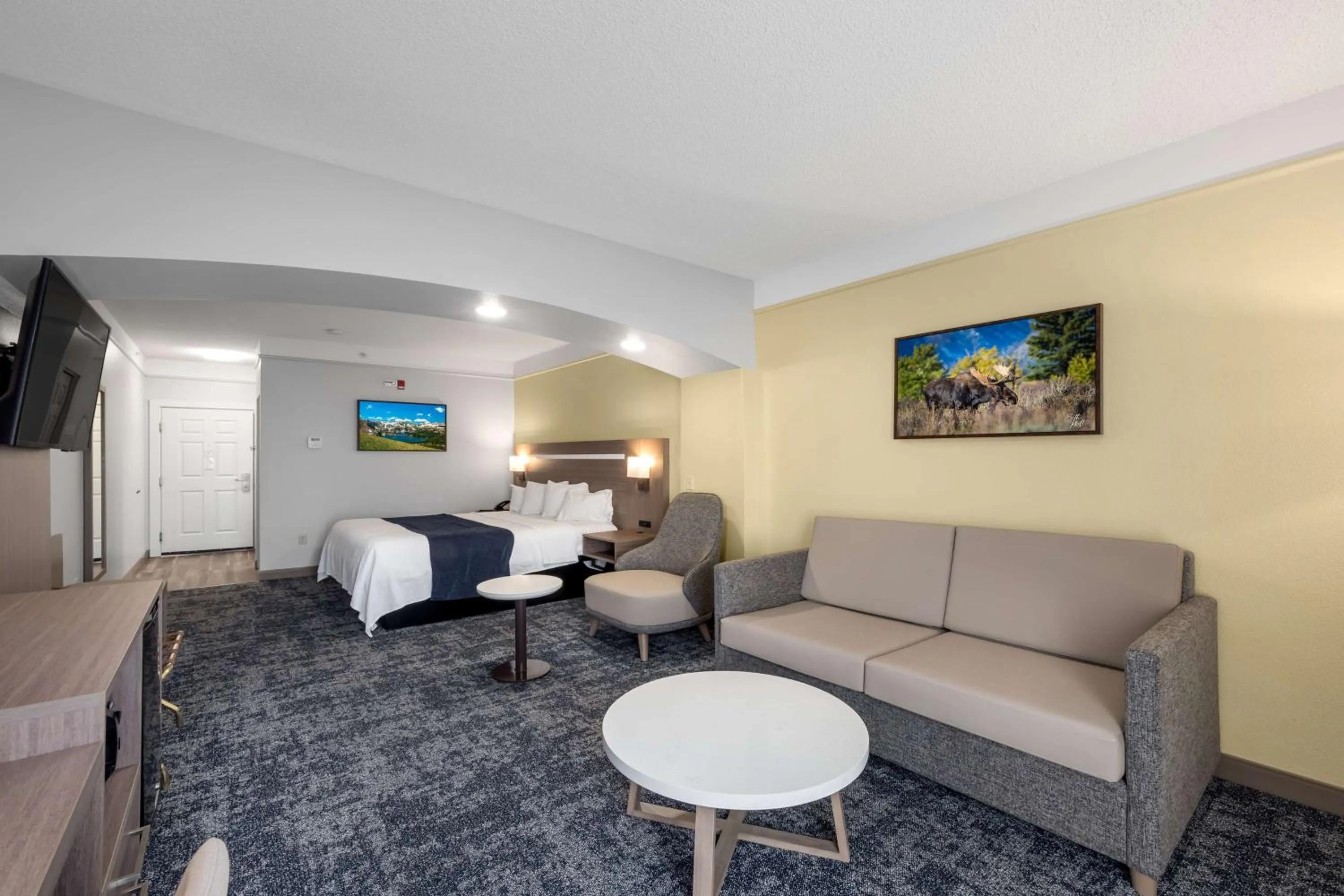 Bed in SureStay Plus Hotel by Best Western Billings