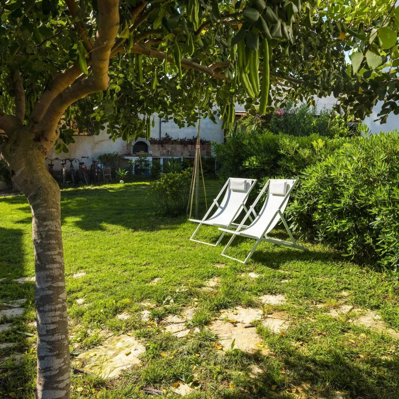 Natural landscape in Stagnone Area Zero