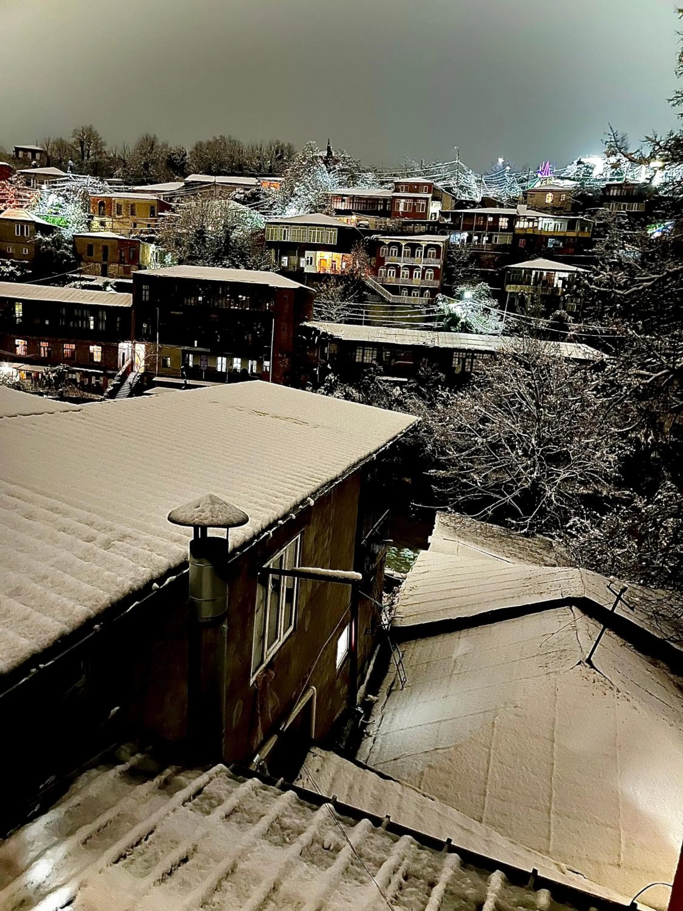 Winter in Georgian Palace Hotel