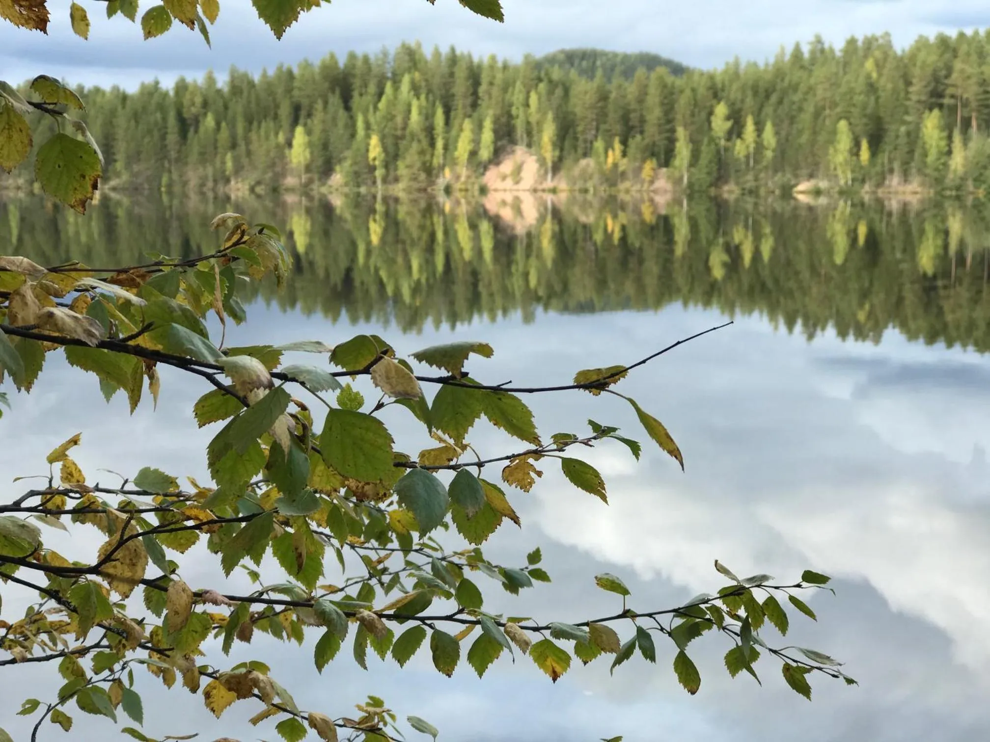 Natural landscape in Vasa Ski Lodge
