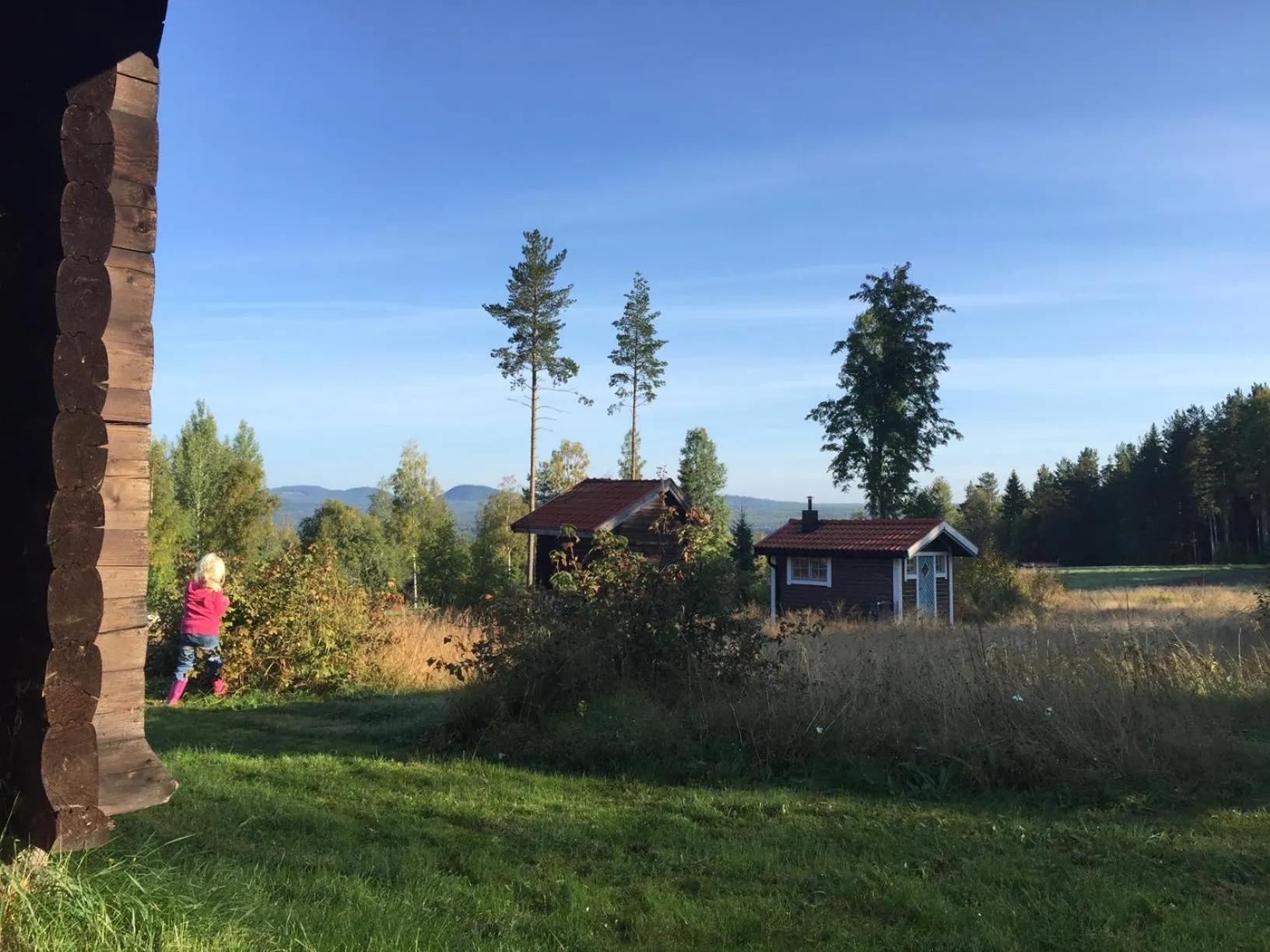 Garden view in Vasa Ski Lodge