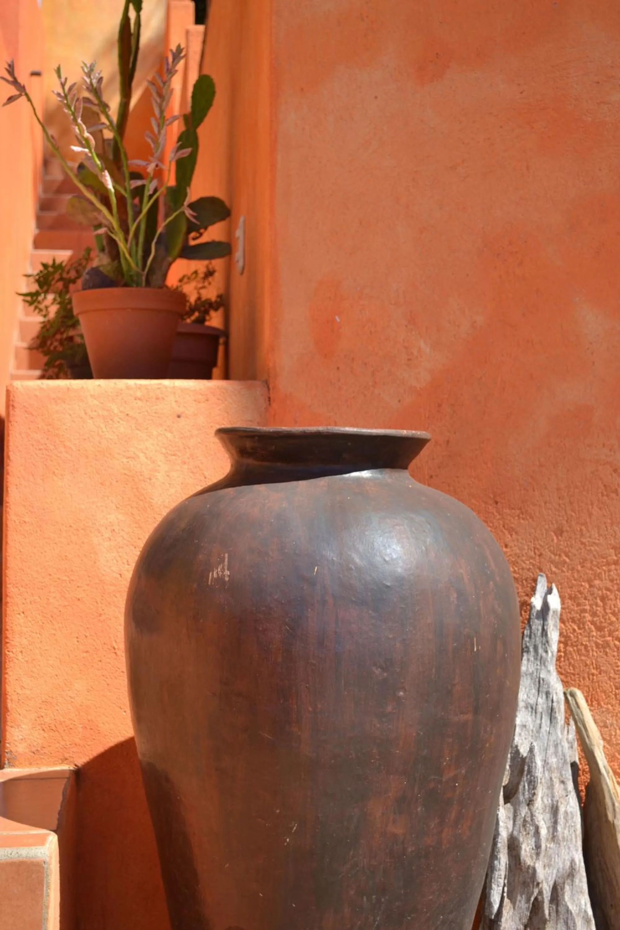 Balcony/Terrace in El Jardin