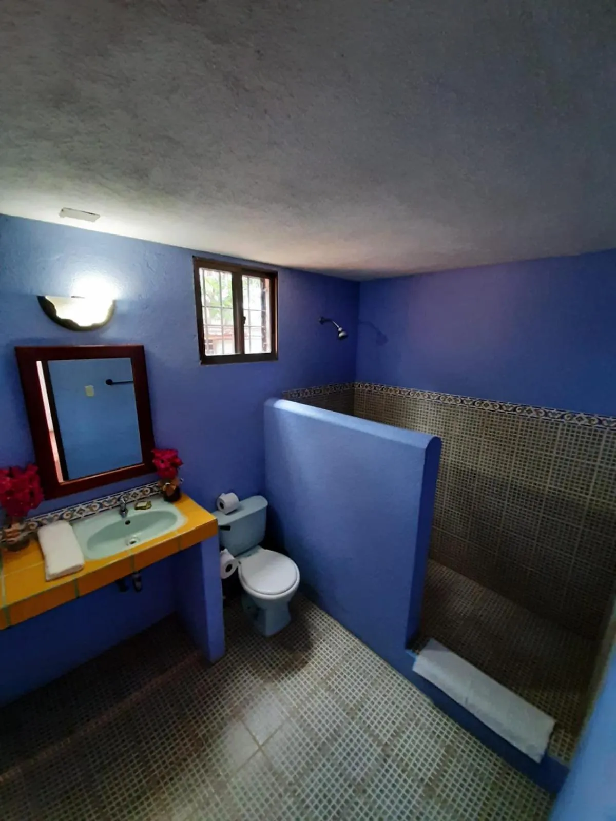 Toilet in El Jardin