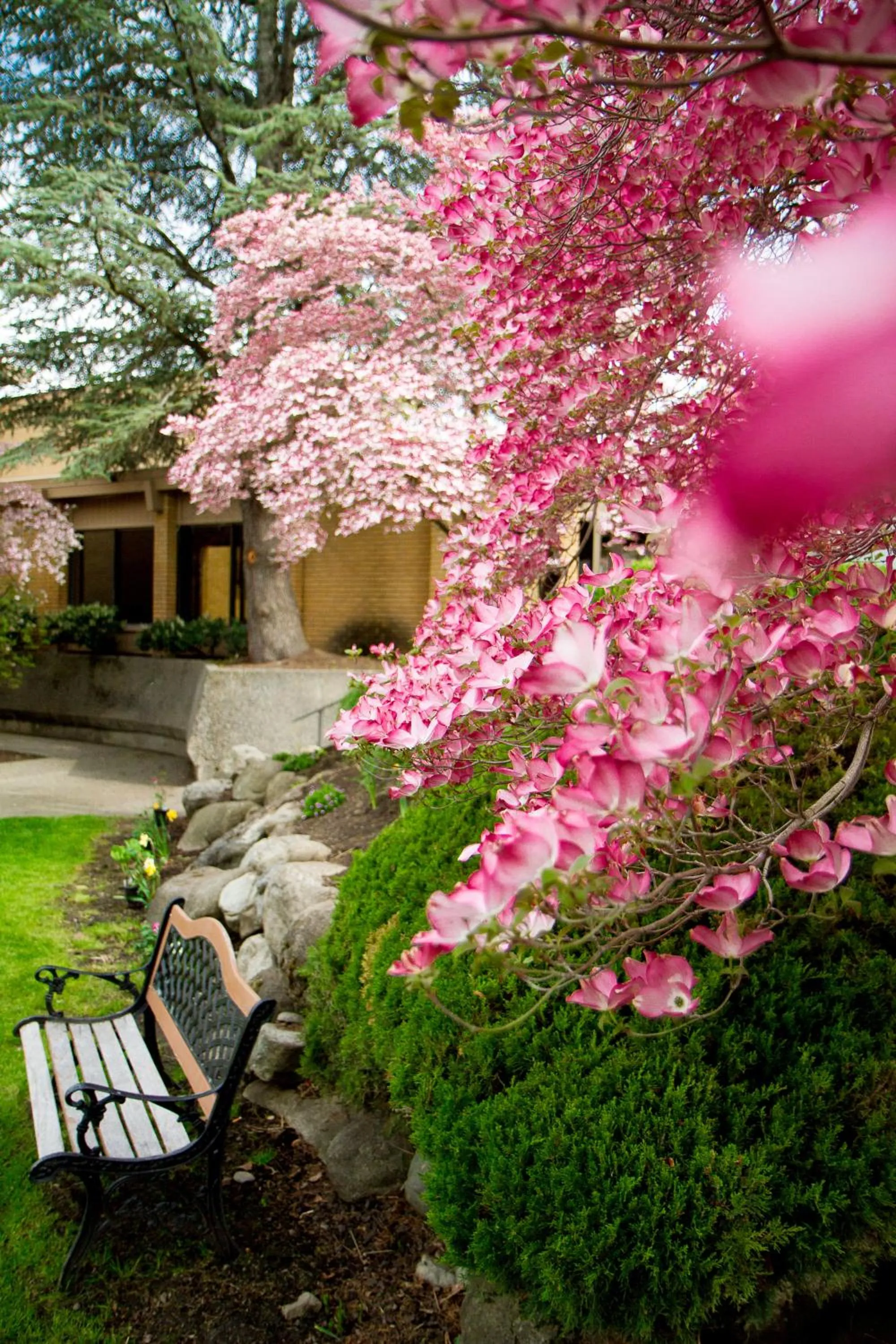 Property building in Mirabeau Park Hotel