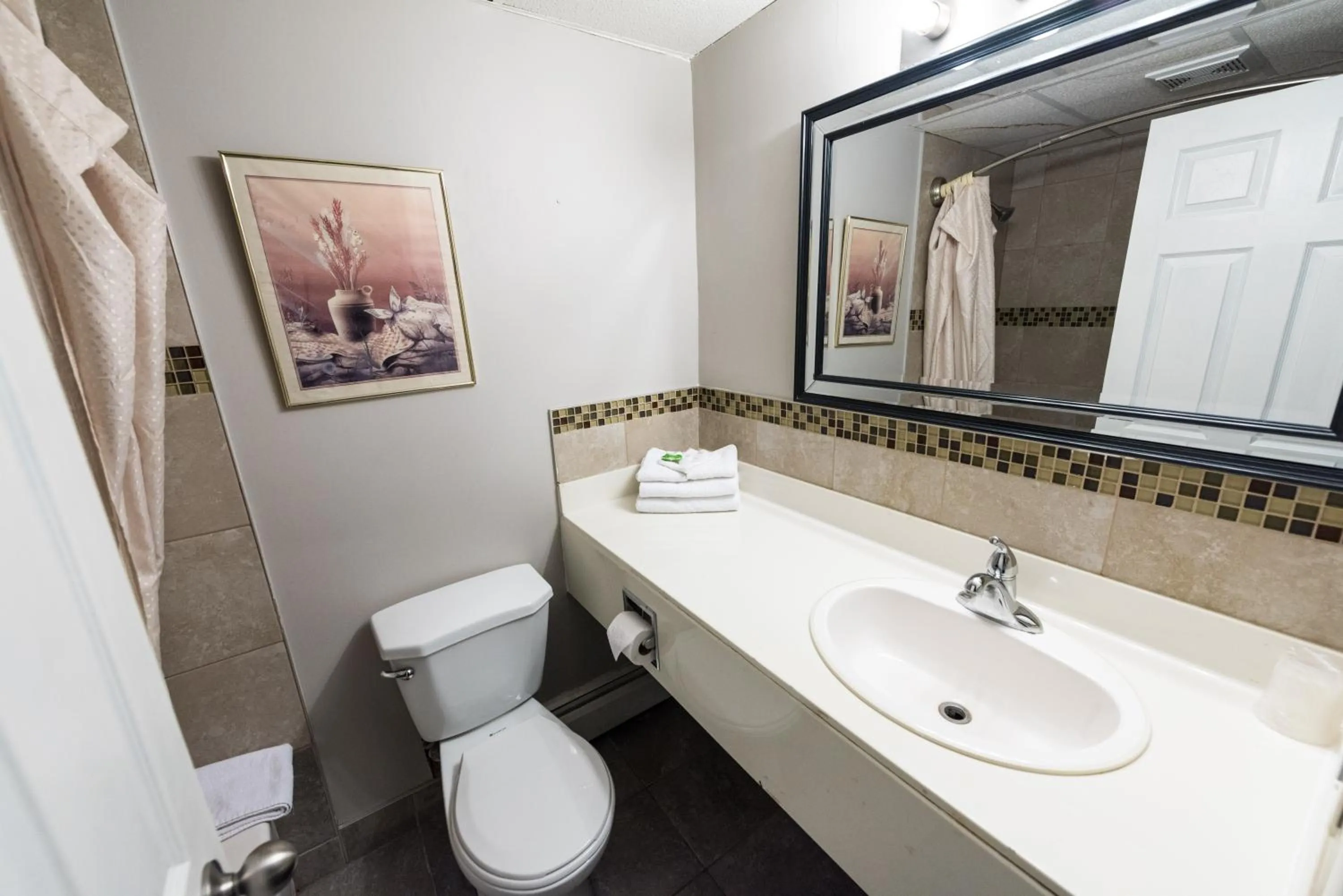 Bathroom in Olympia Lodge