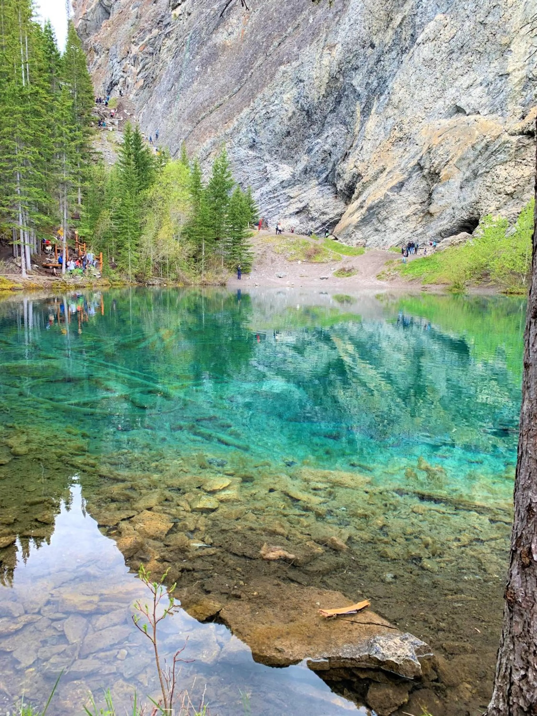 Natural landscape in Inviting Rocky Mountain HOT TUB in Top Rated Condo managed by Little Sister Getaways