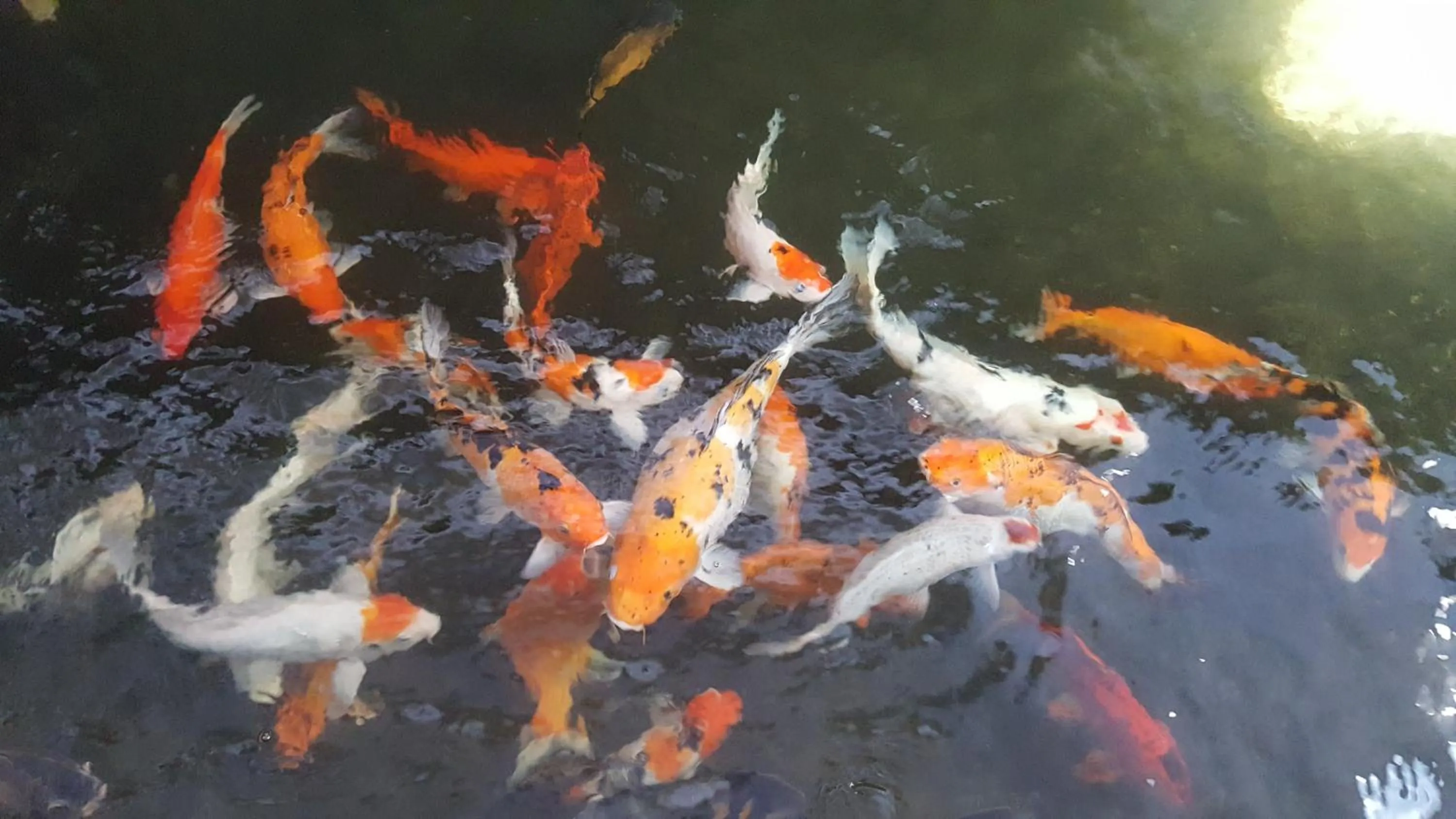 Other in Residence @ Shaftsbury Cyberjaya