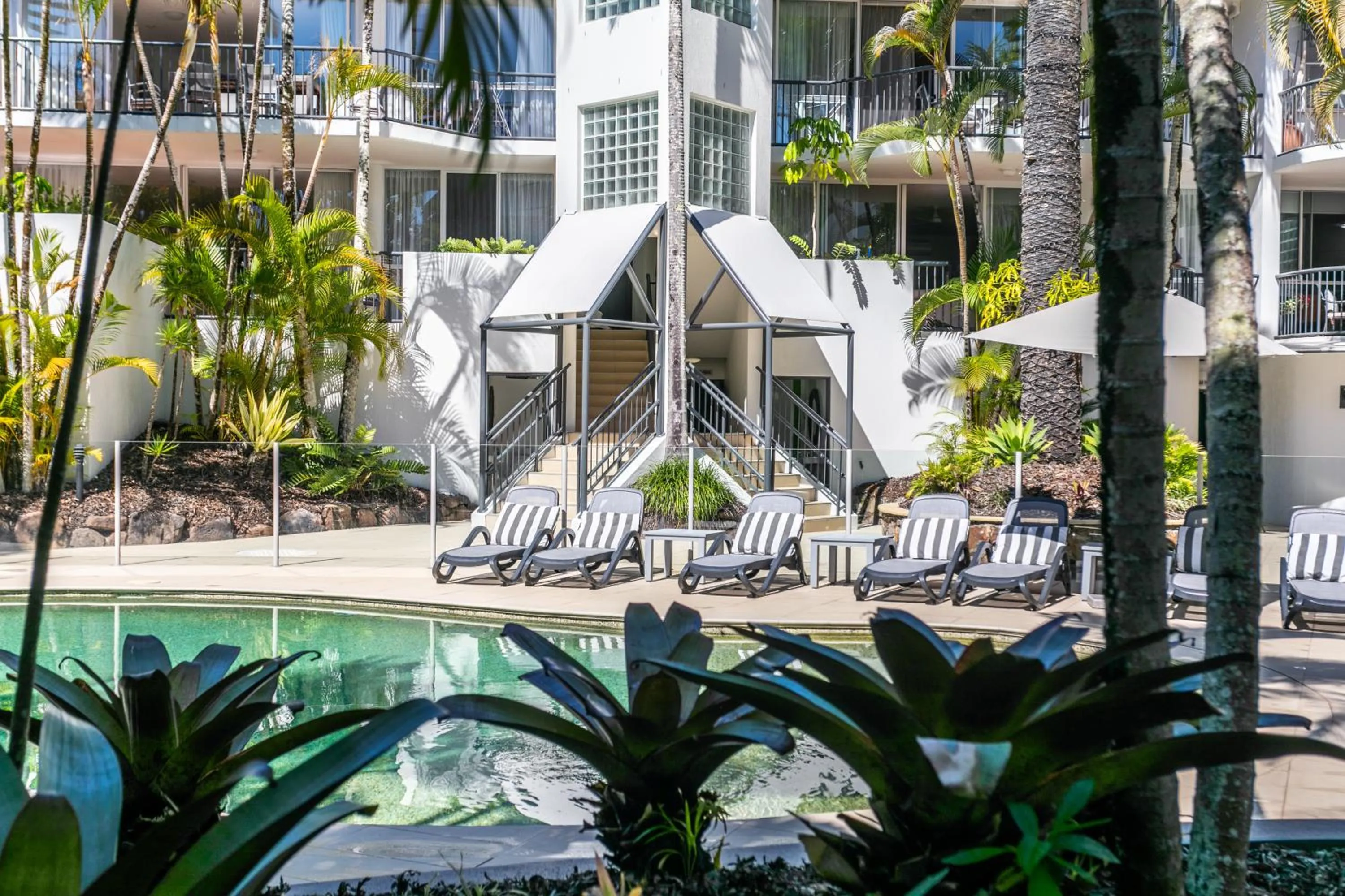 Swimming pool in Noosa Tropicana
