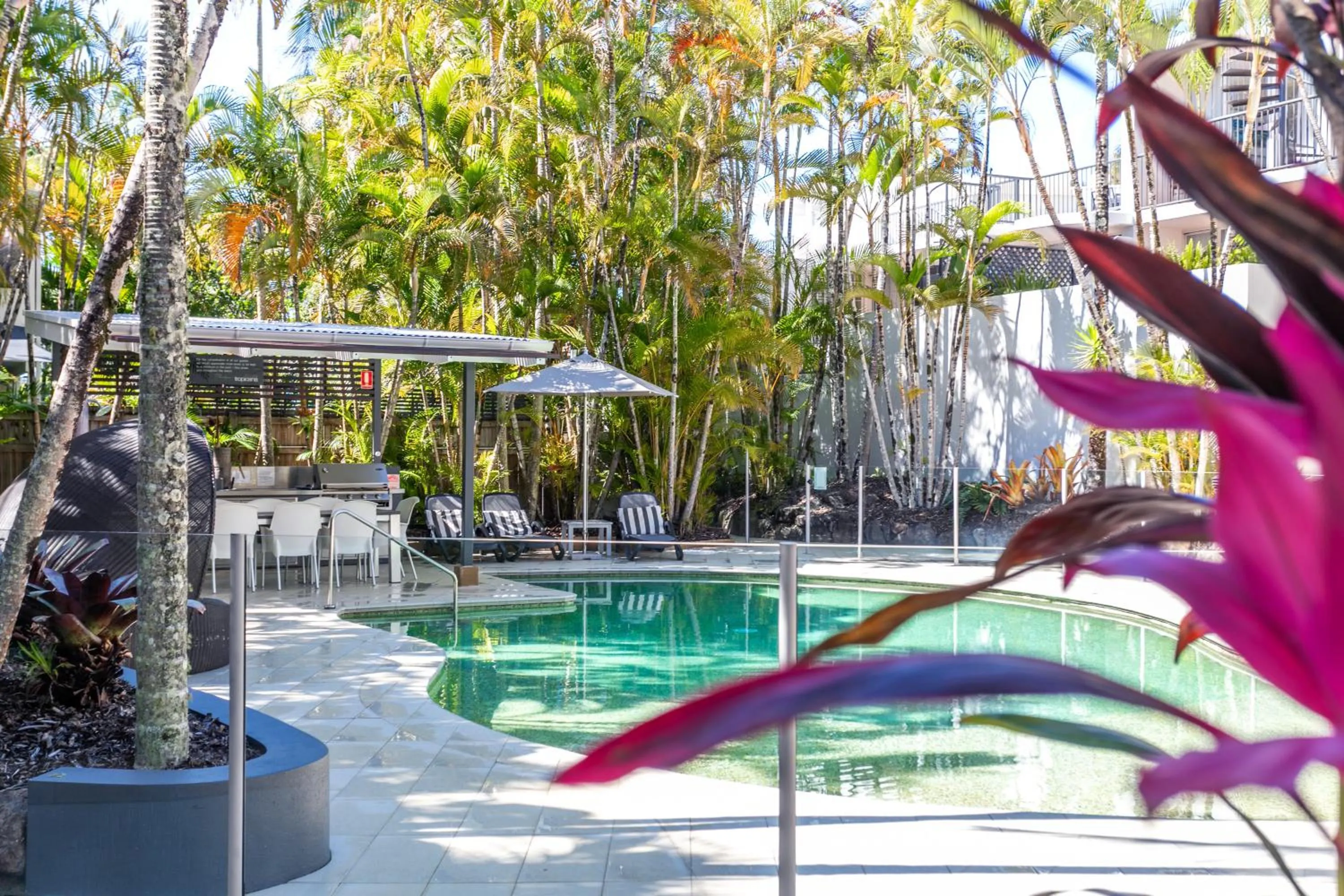 Swimming pool in Noosa Tropicana