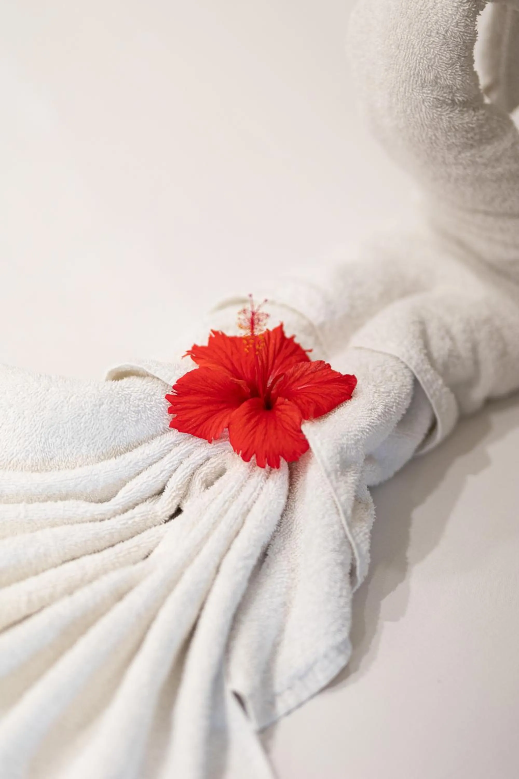 towels in Seahaven Resort