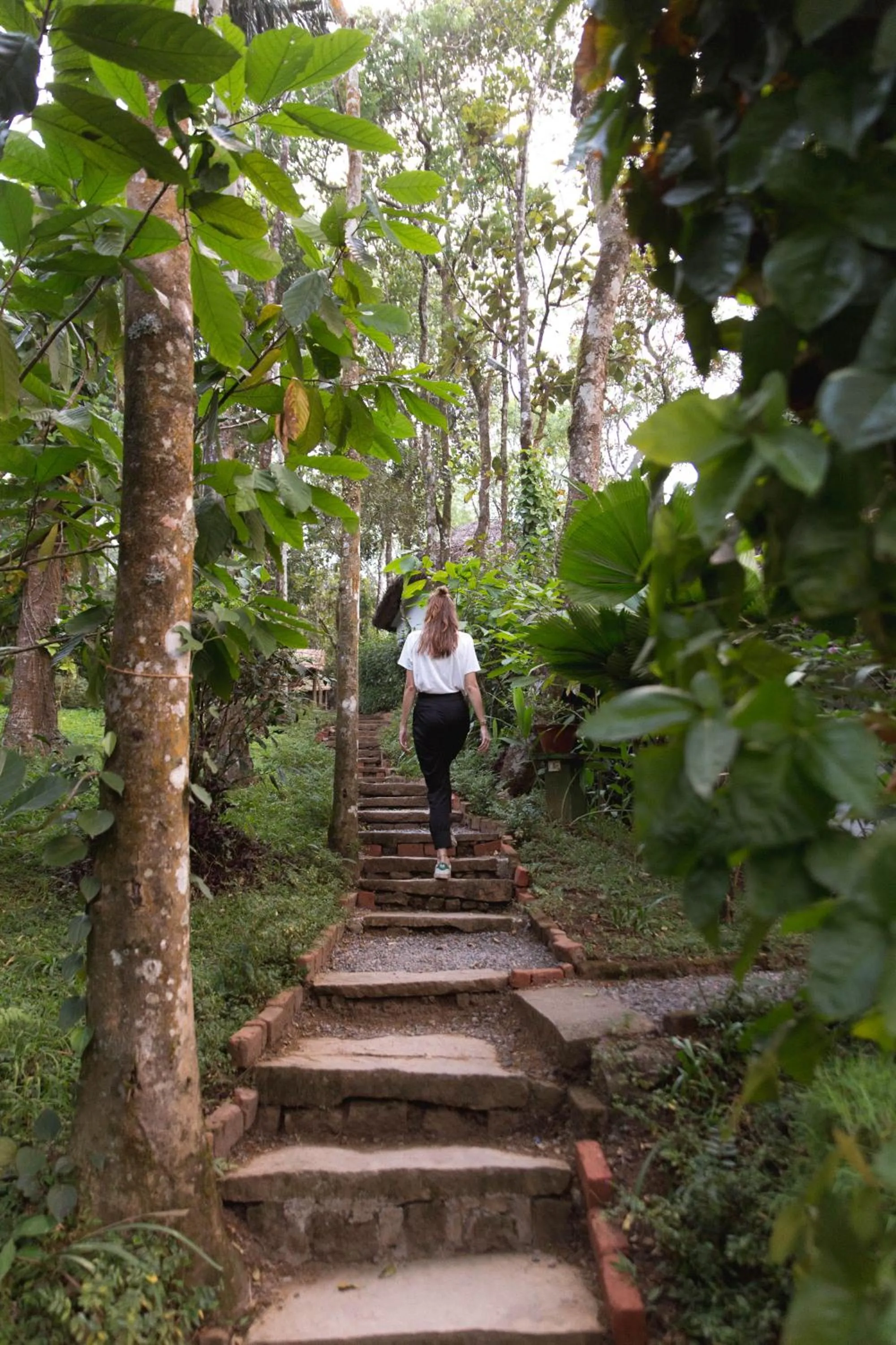 Garden in Amritara Shalimar Spice Garden Resort & Spa