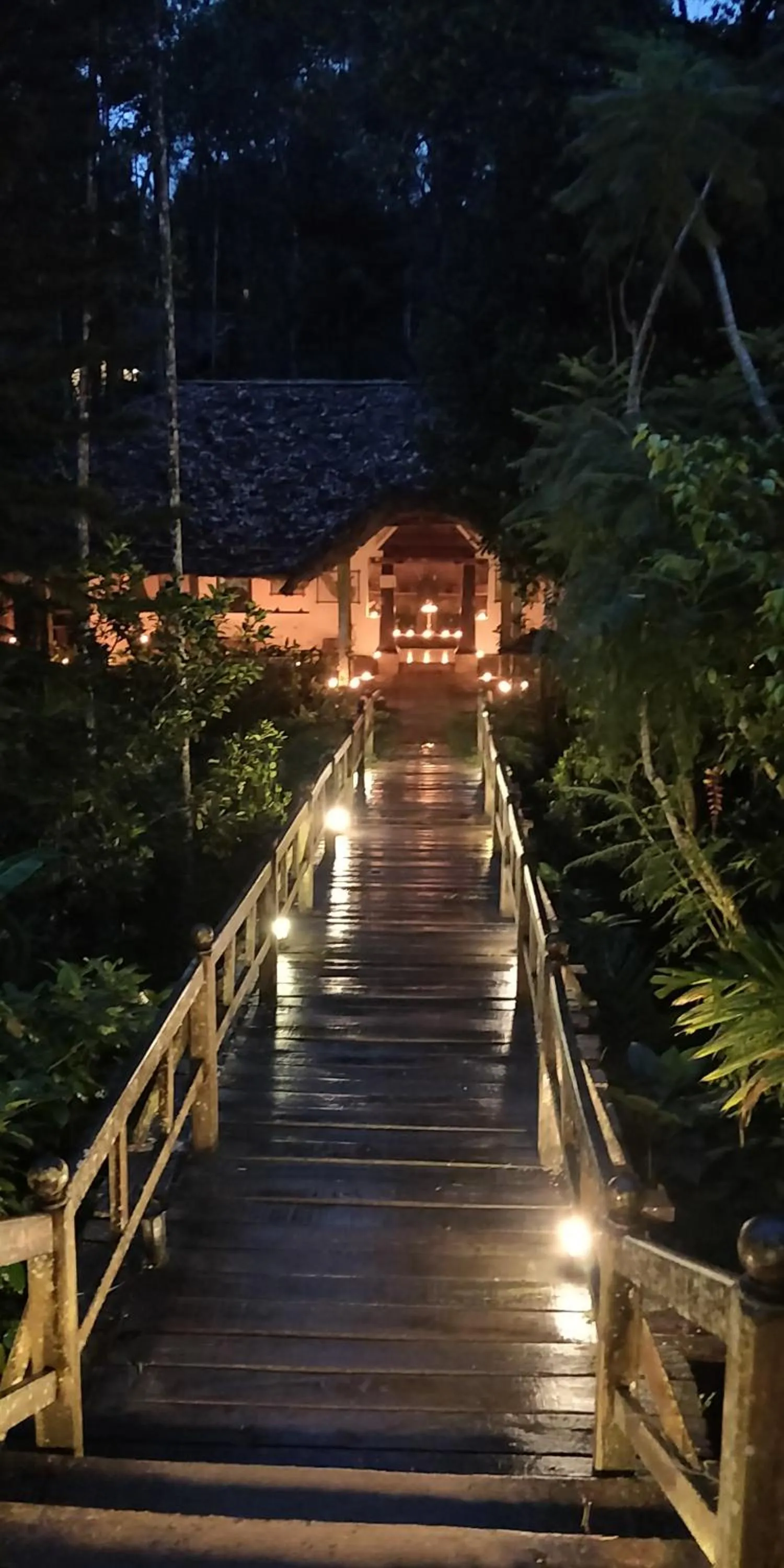 Evening entertainment in Amritara Shalimar Spice Garden Resort & Spa