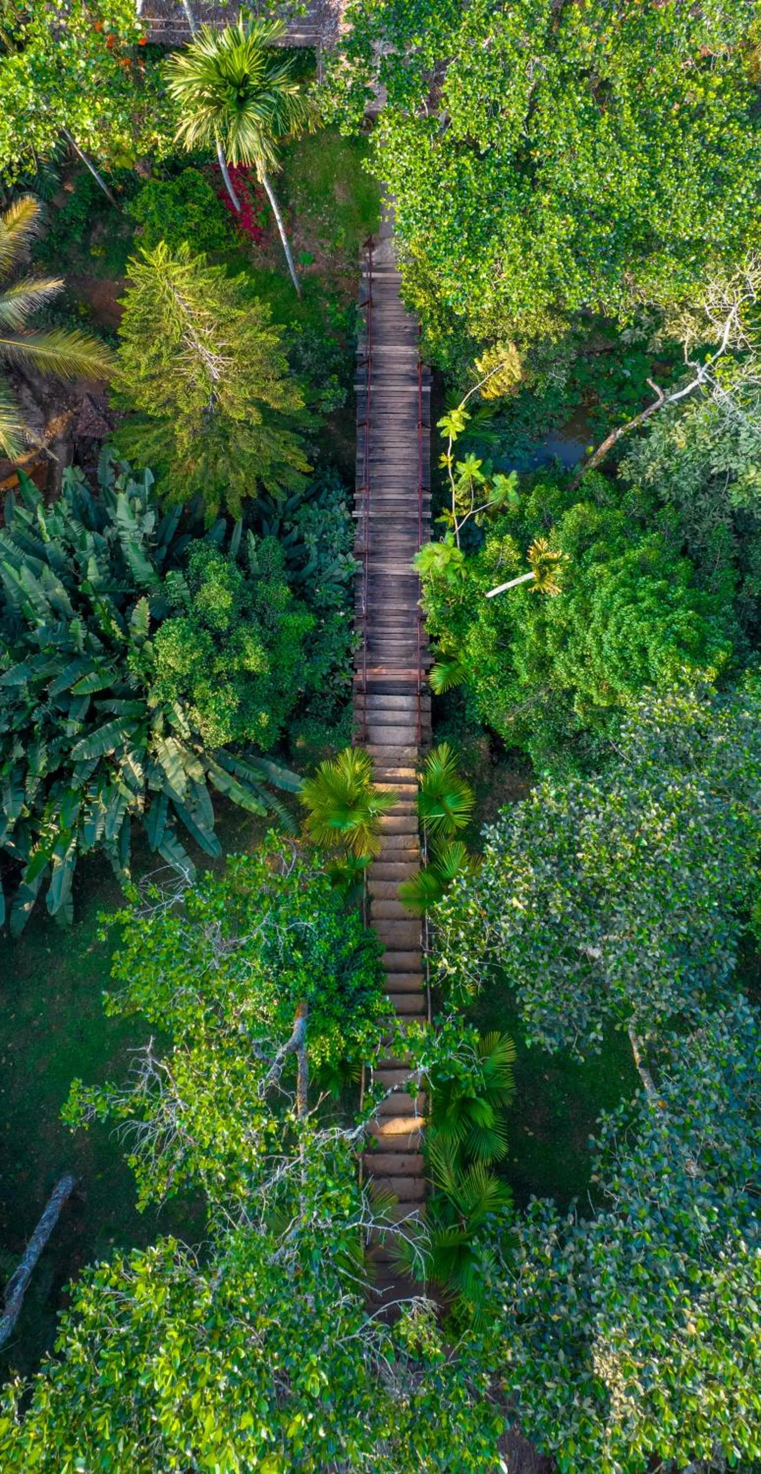 Natural landscape in Amritara Shalimar Spice Garden Resort & Spa