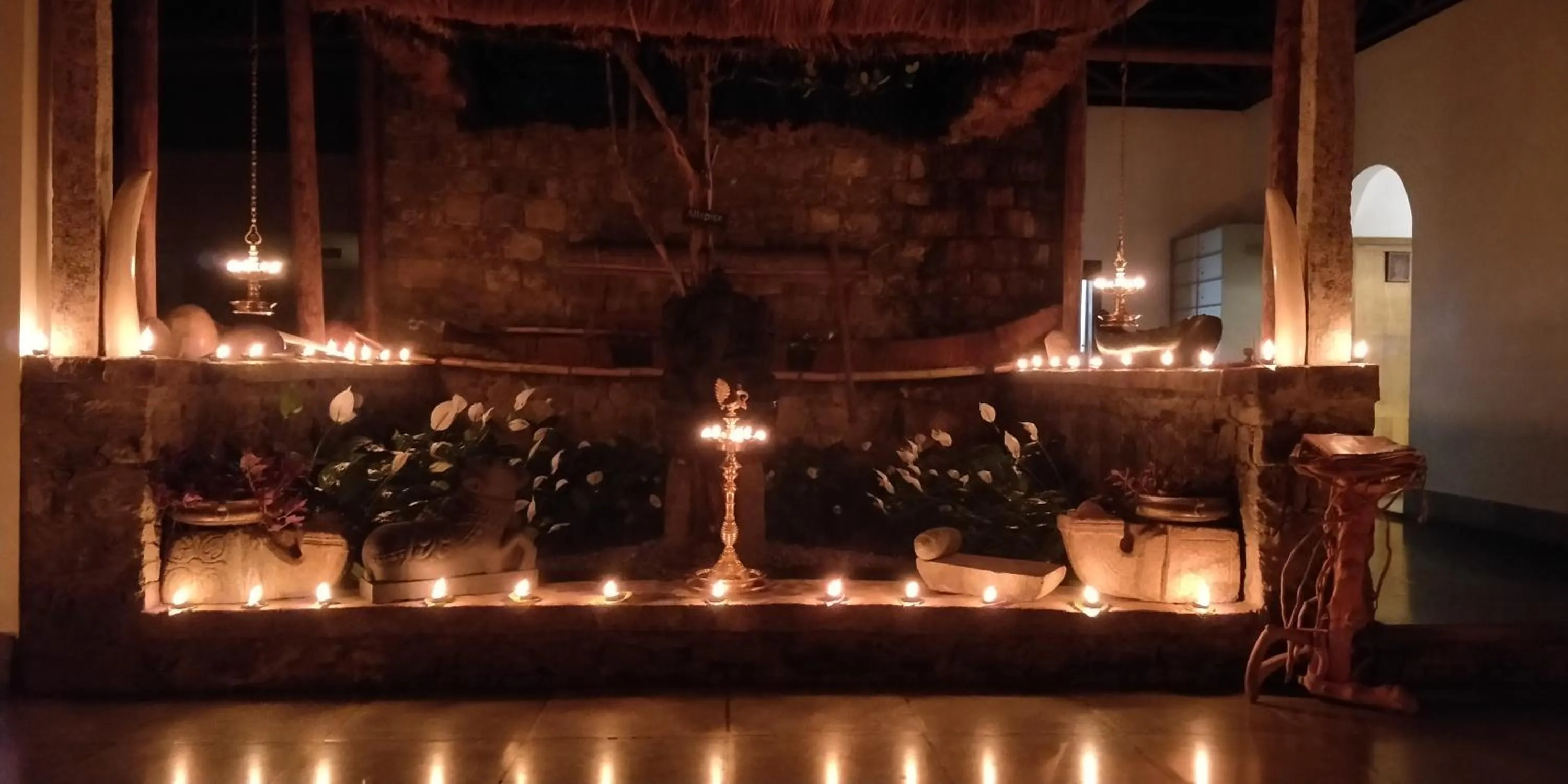 Evening entertainment in Amritara Shalimar Spice Garden Resort & Spa