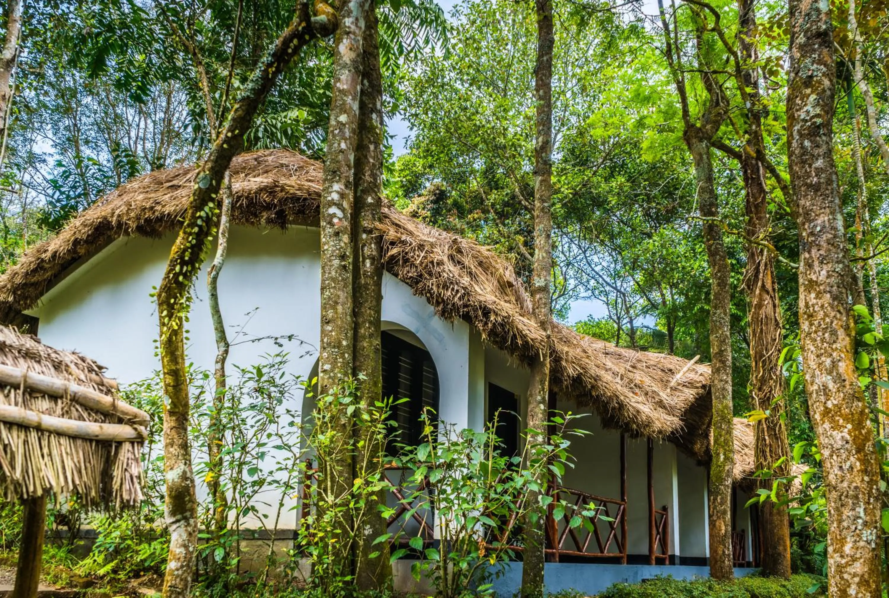 Garden in Amritara Shalimar Spice Garden Resort & Spa