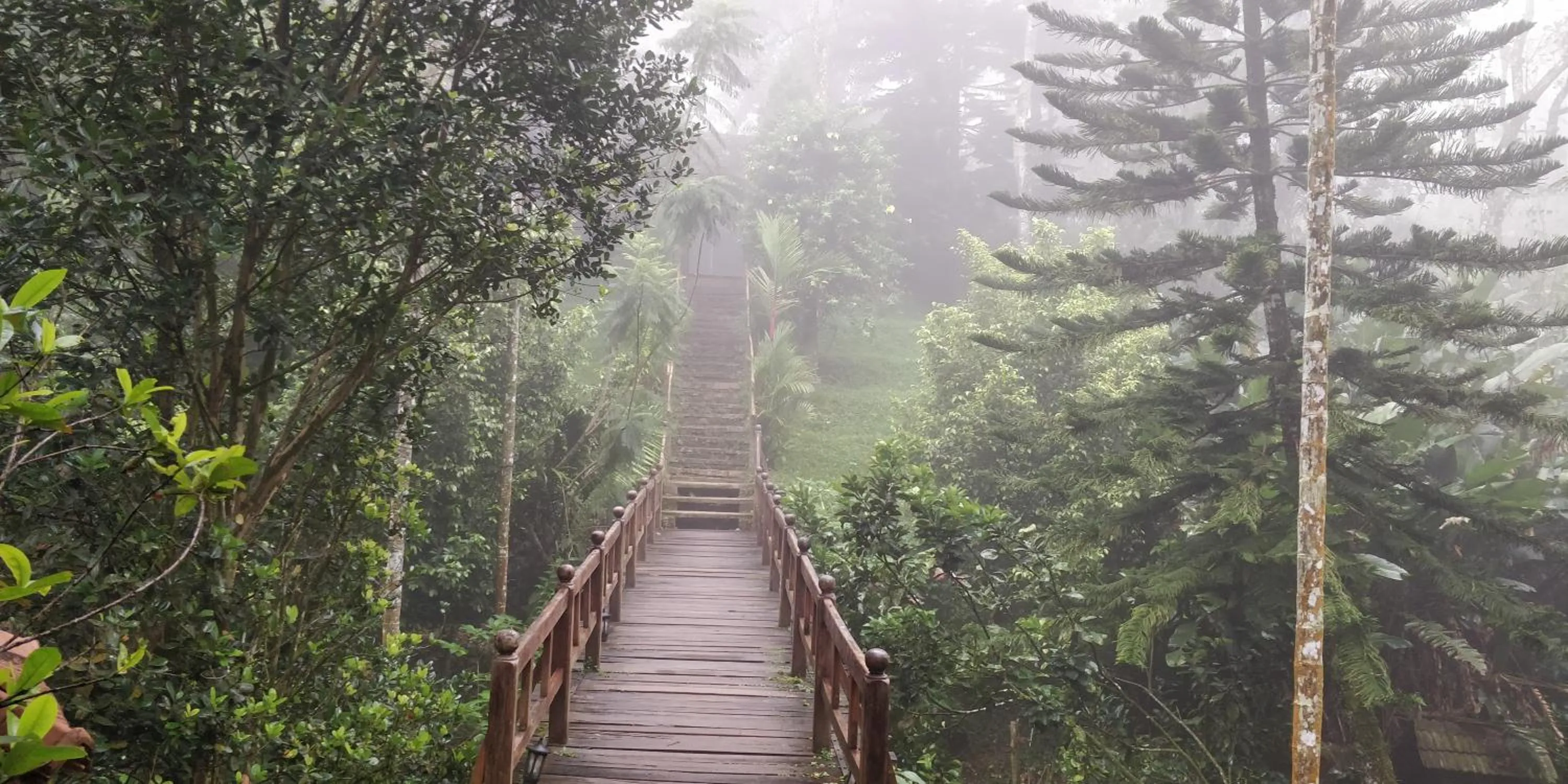 Property building in Amritara Shalimar Spice Garden Resort & Spa