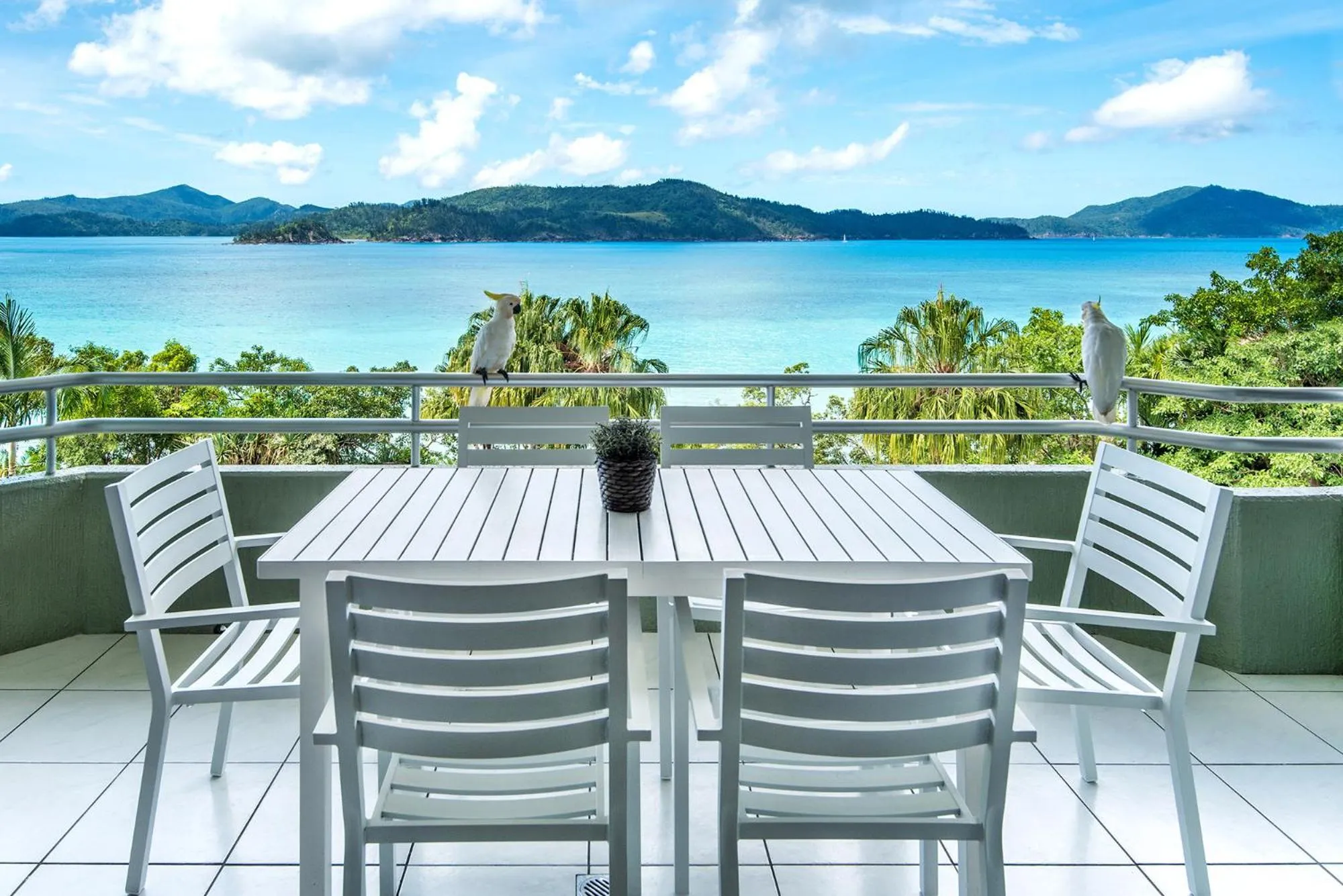 Hamilton Island Holiday Homes