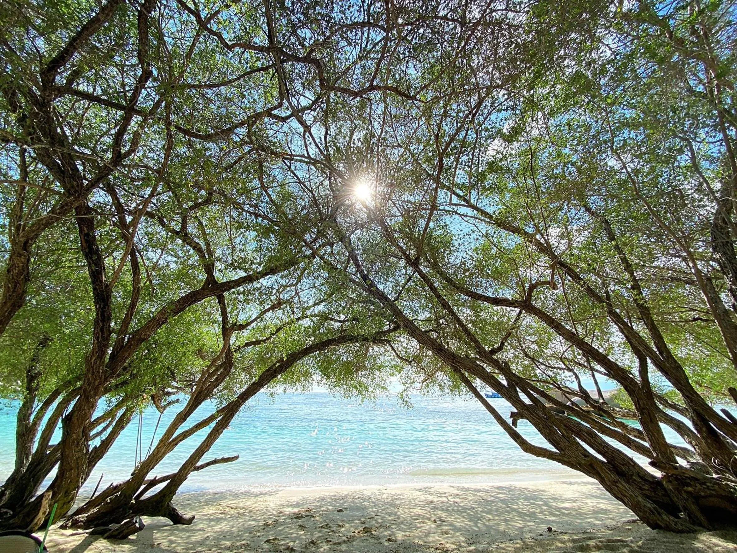 Natural landscape in Koh Tao Relax Freedom Beach Resort