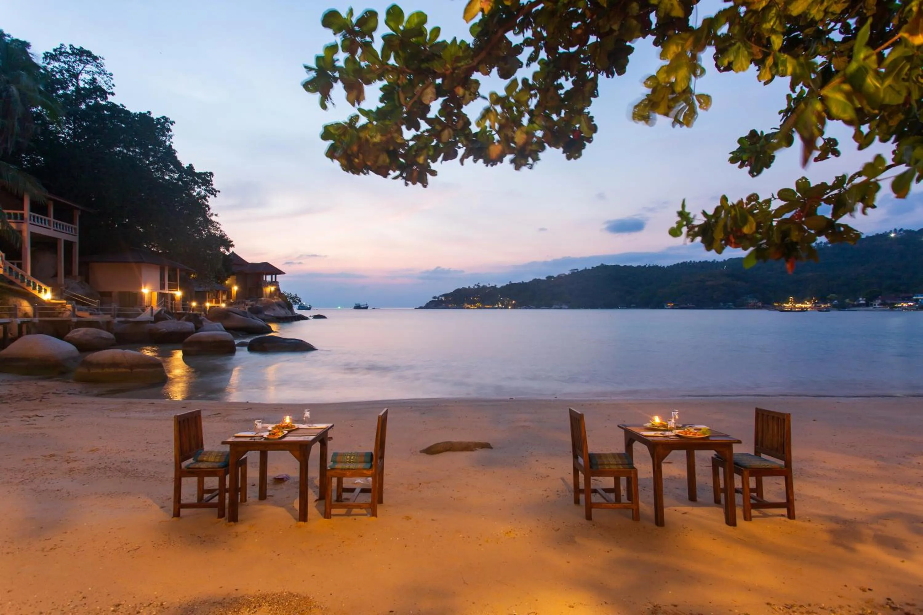 Diving in Koh Tao Relax Freedom Beach Resort