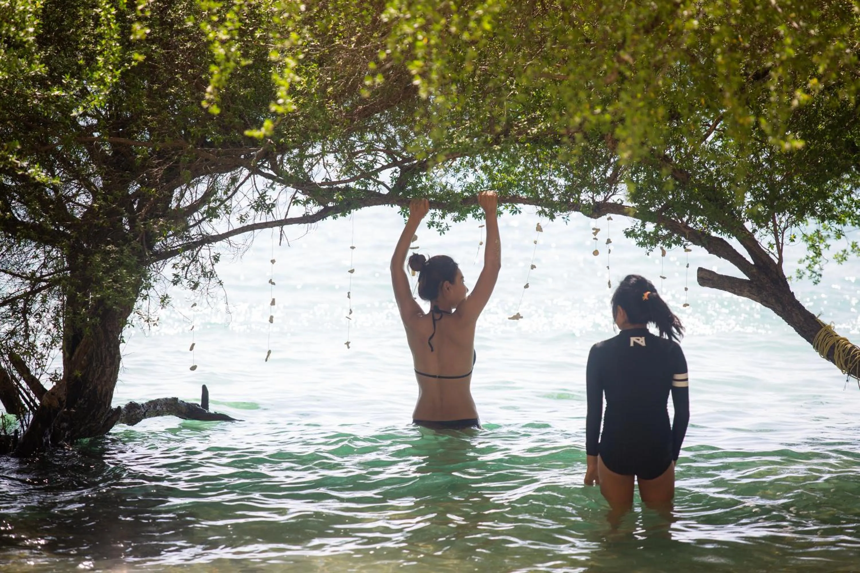 Activities in Koh Tao Relax Freedom Beach Resort