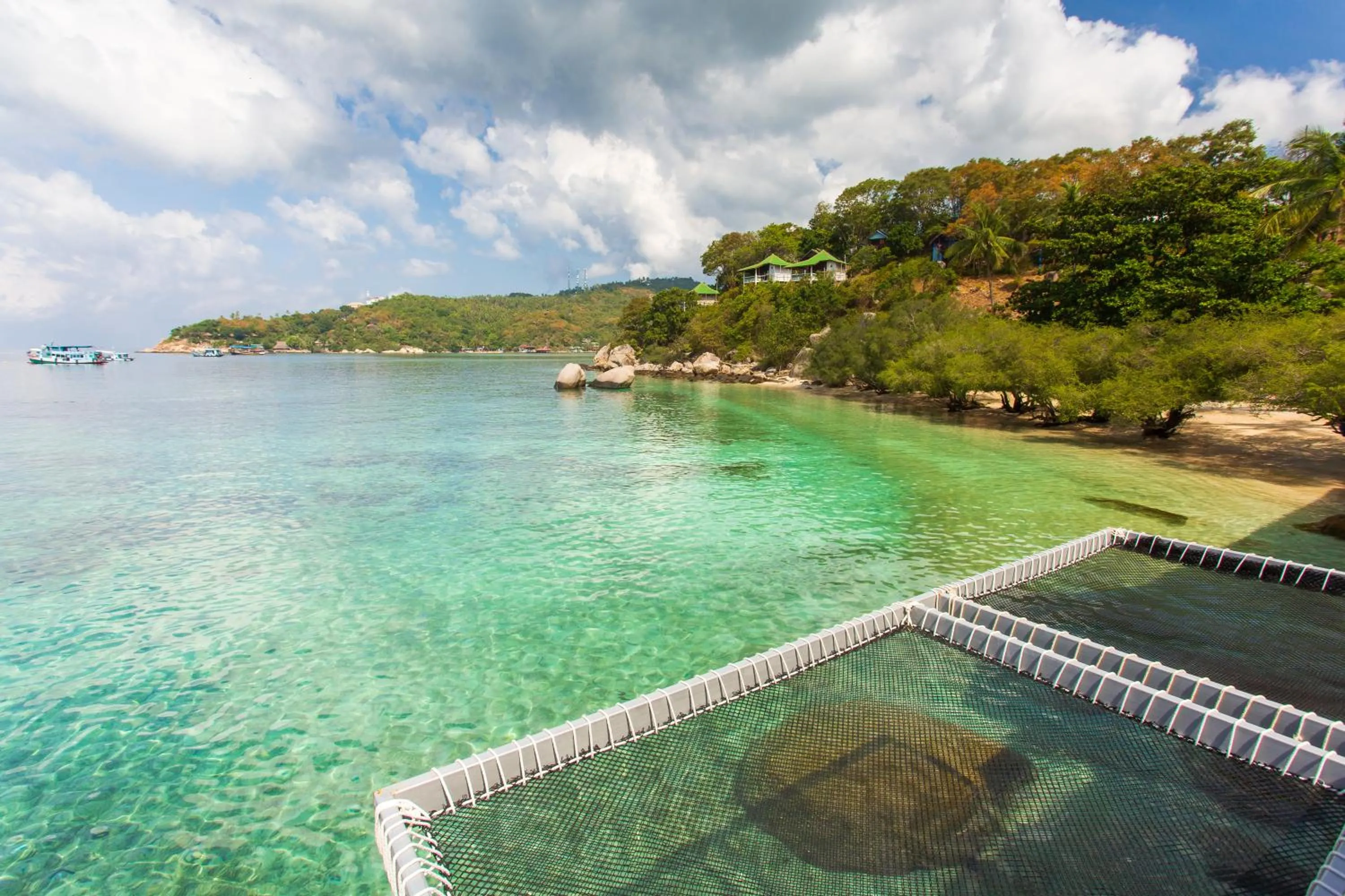 Sea view in Koh Tao Relax Freedom Beach Resort