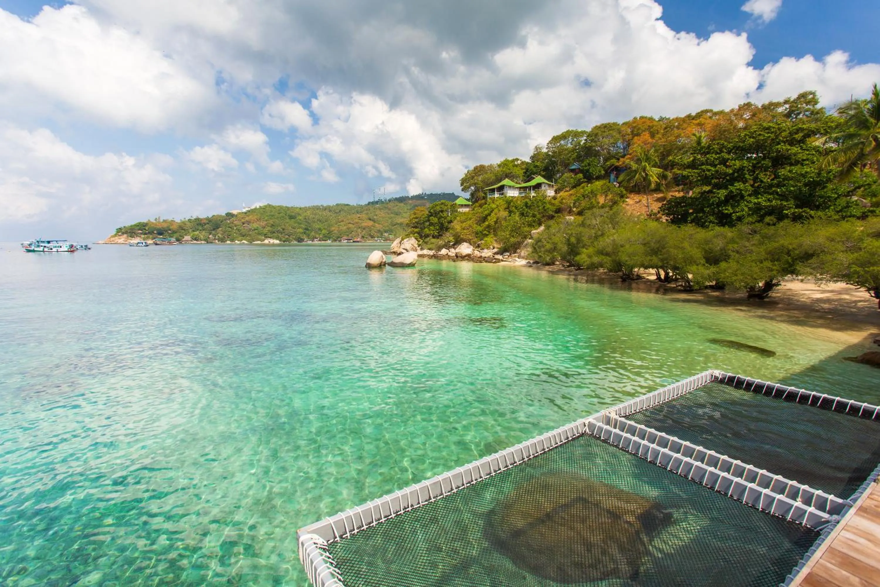 Restaurant/places to eat in Koh Tao Relax Freedom Beach Resort