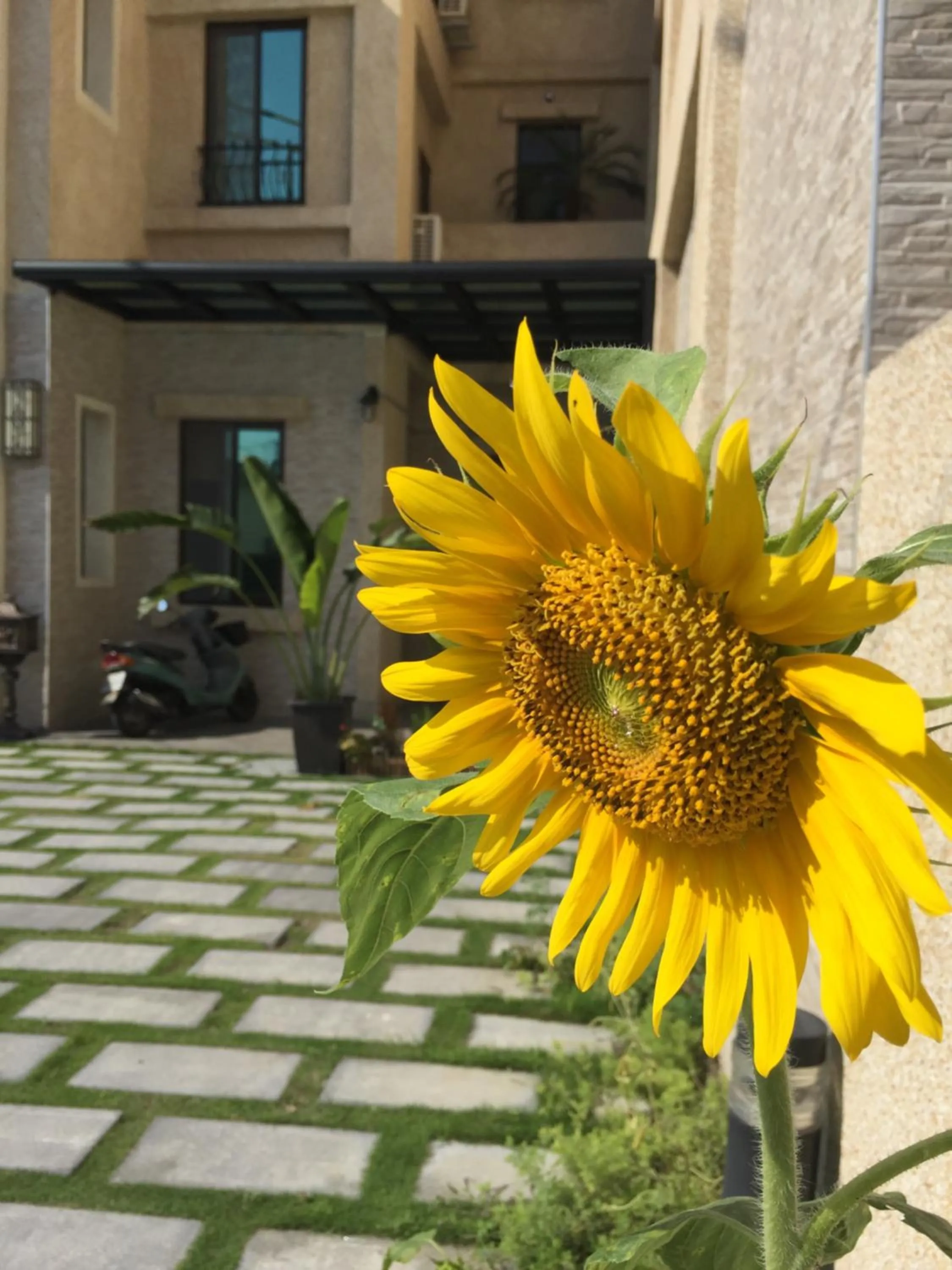 Facade/entrance in East Coast