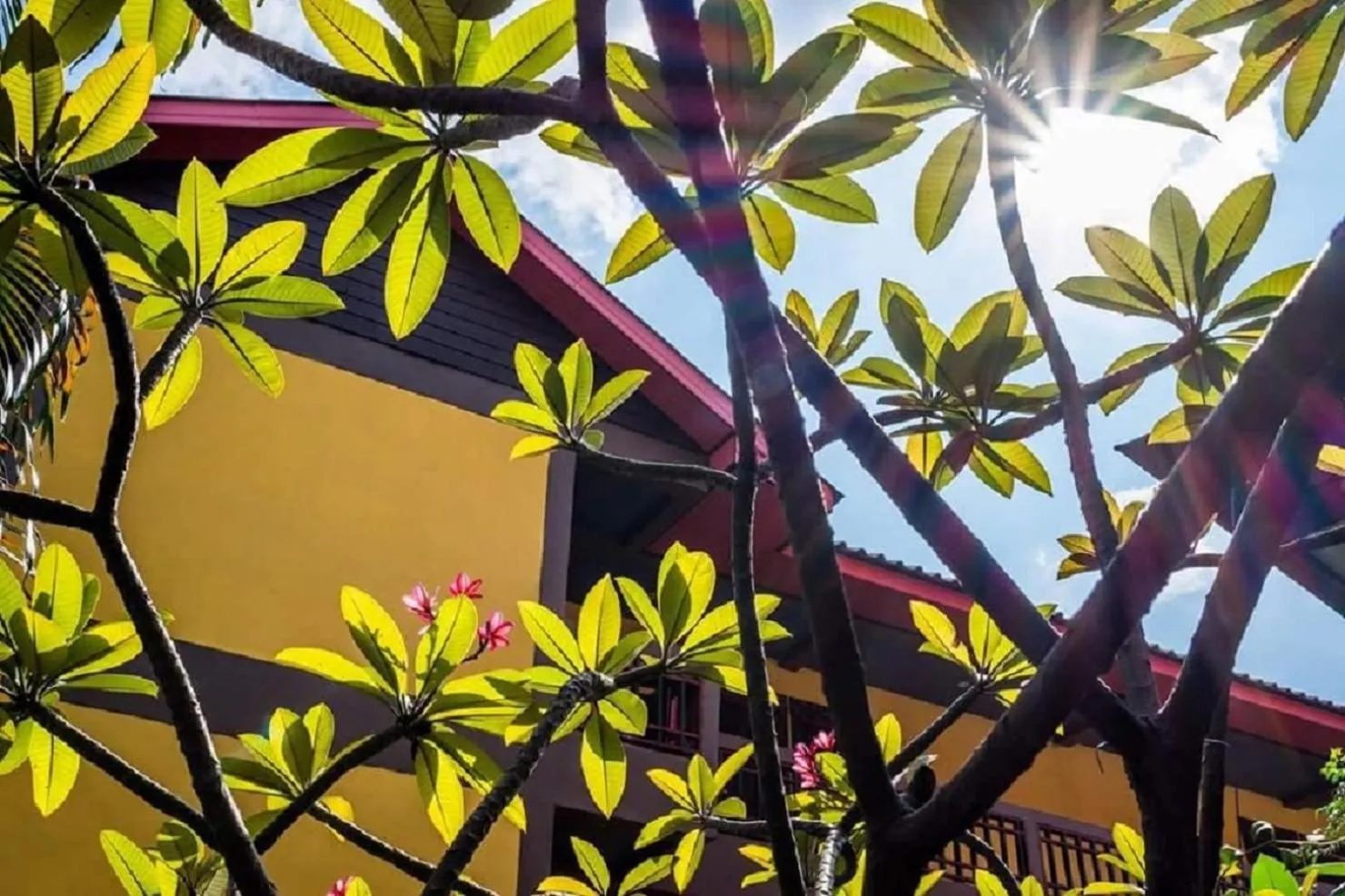 View (from property/room) in Lanna Boutique Resort