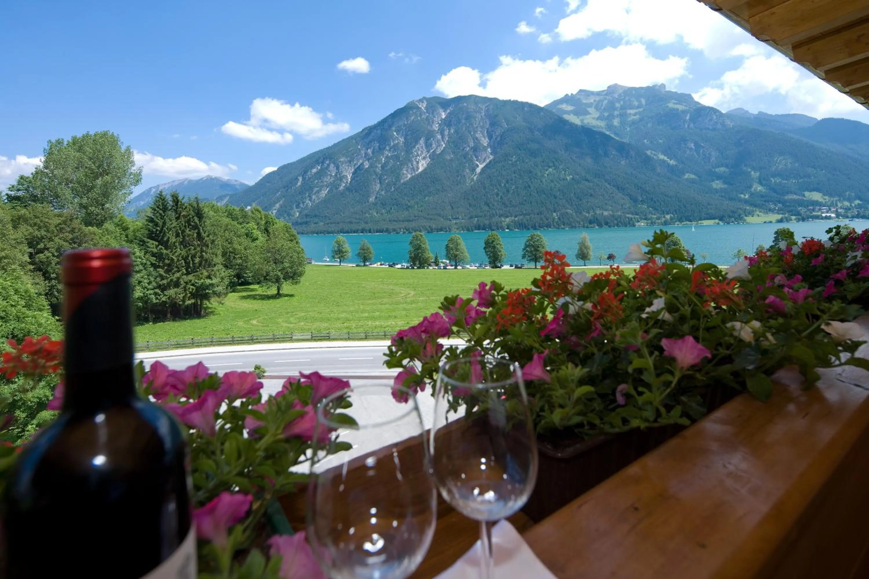 Area and facilities in Hotel Bergland