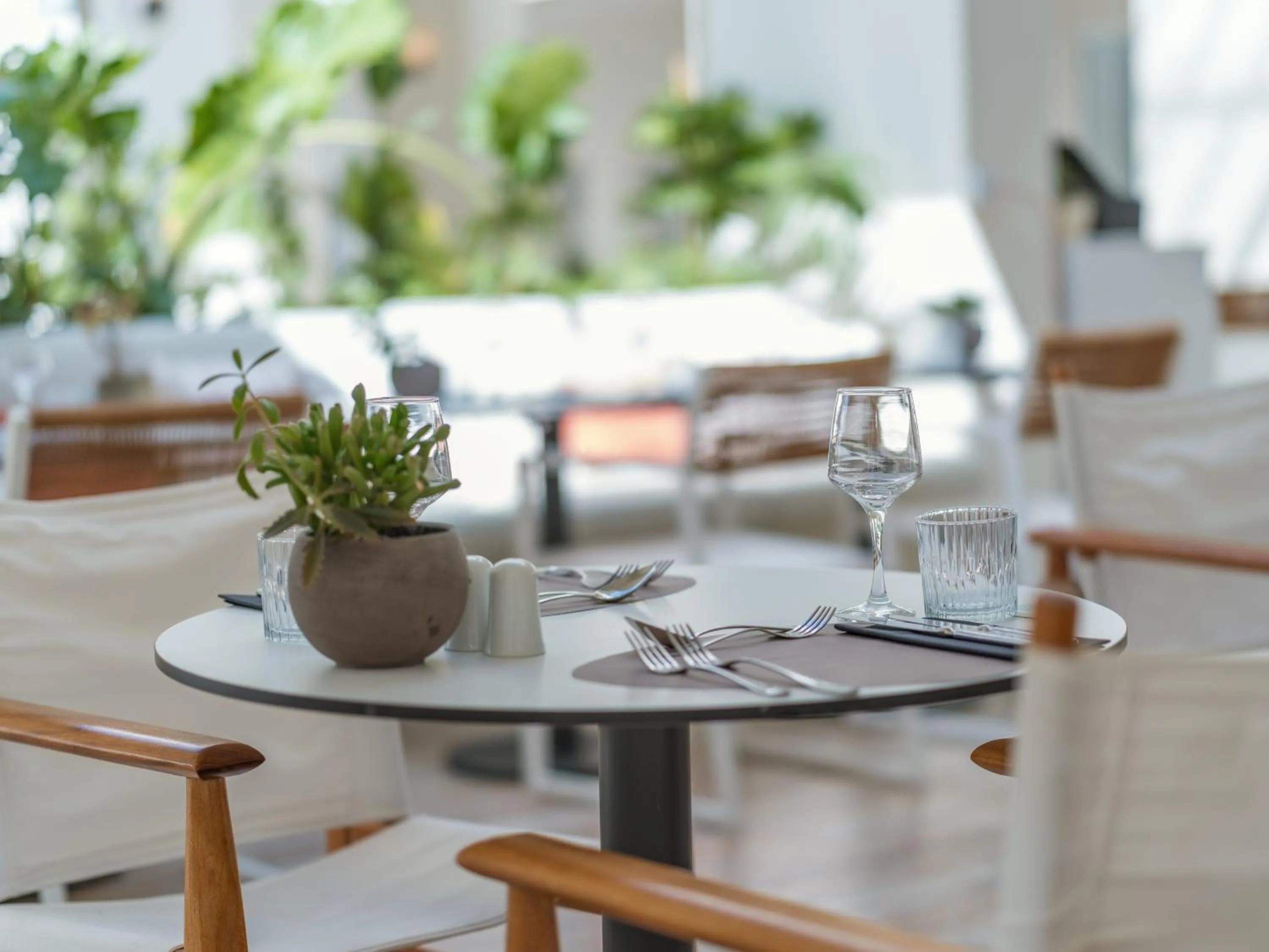 Restaurant/places to eat in Domes Noruz Kassandra, Halkidiki - Adults Only