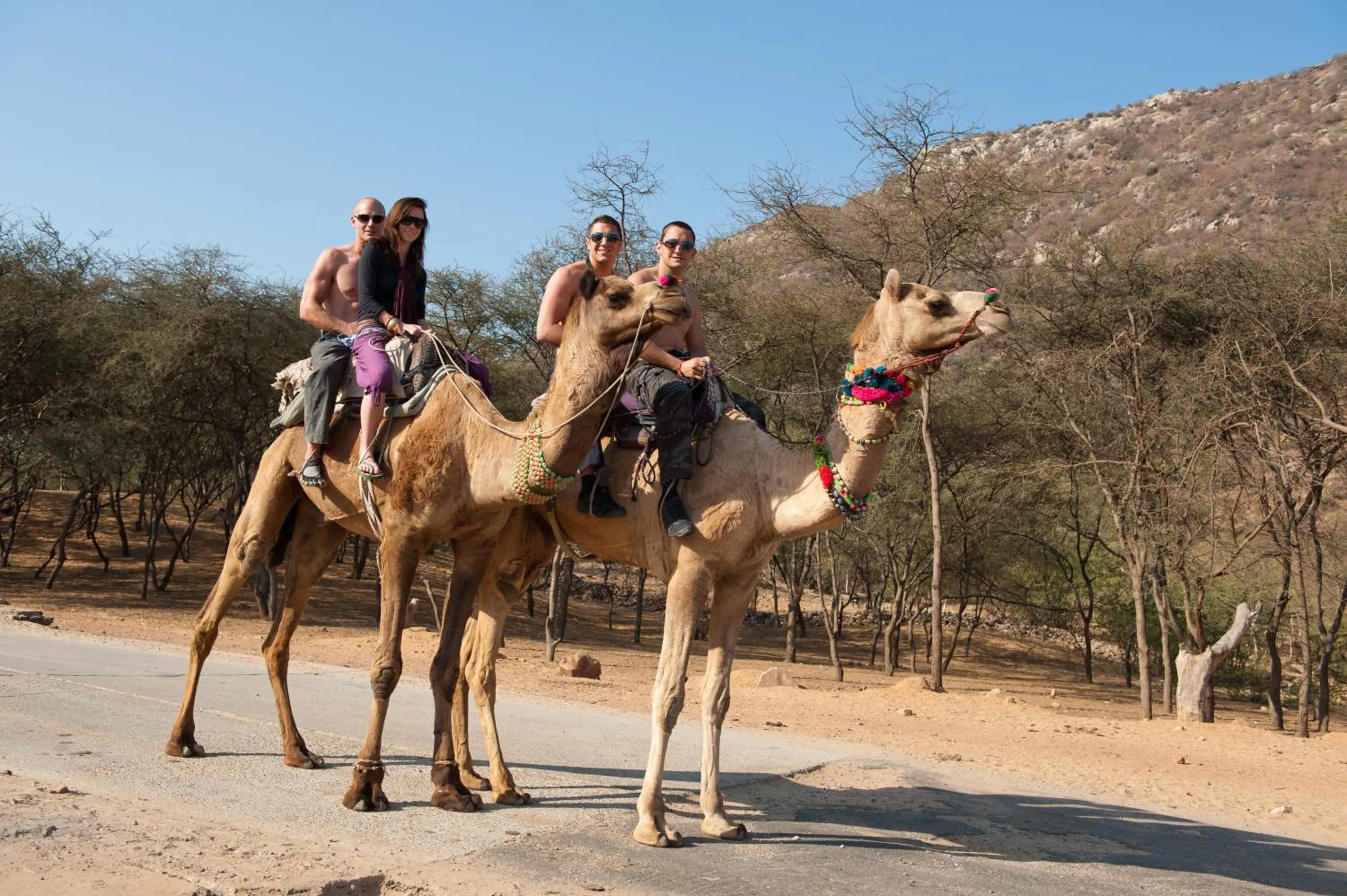 Day in Aaram Baagh Pushkar by Pachar Group