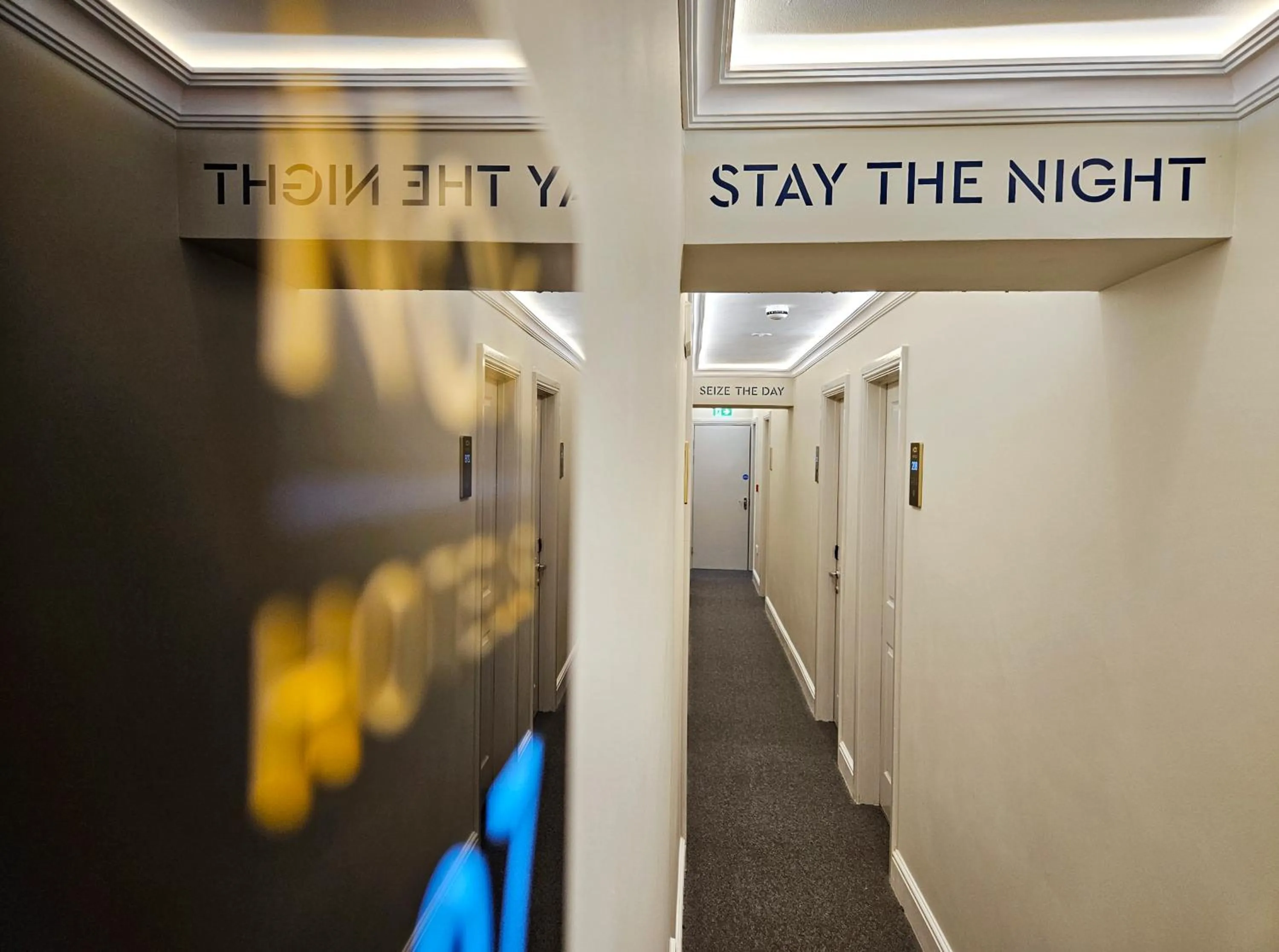 Property building in NOX Hyde Park