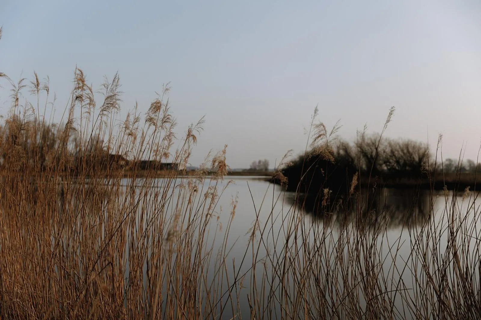 Natural landscape in Hotel zur Treene
