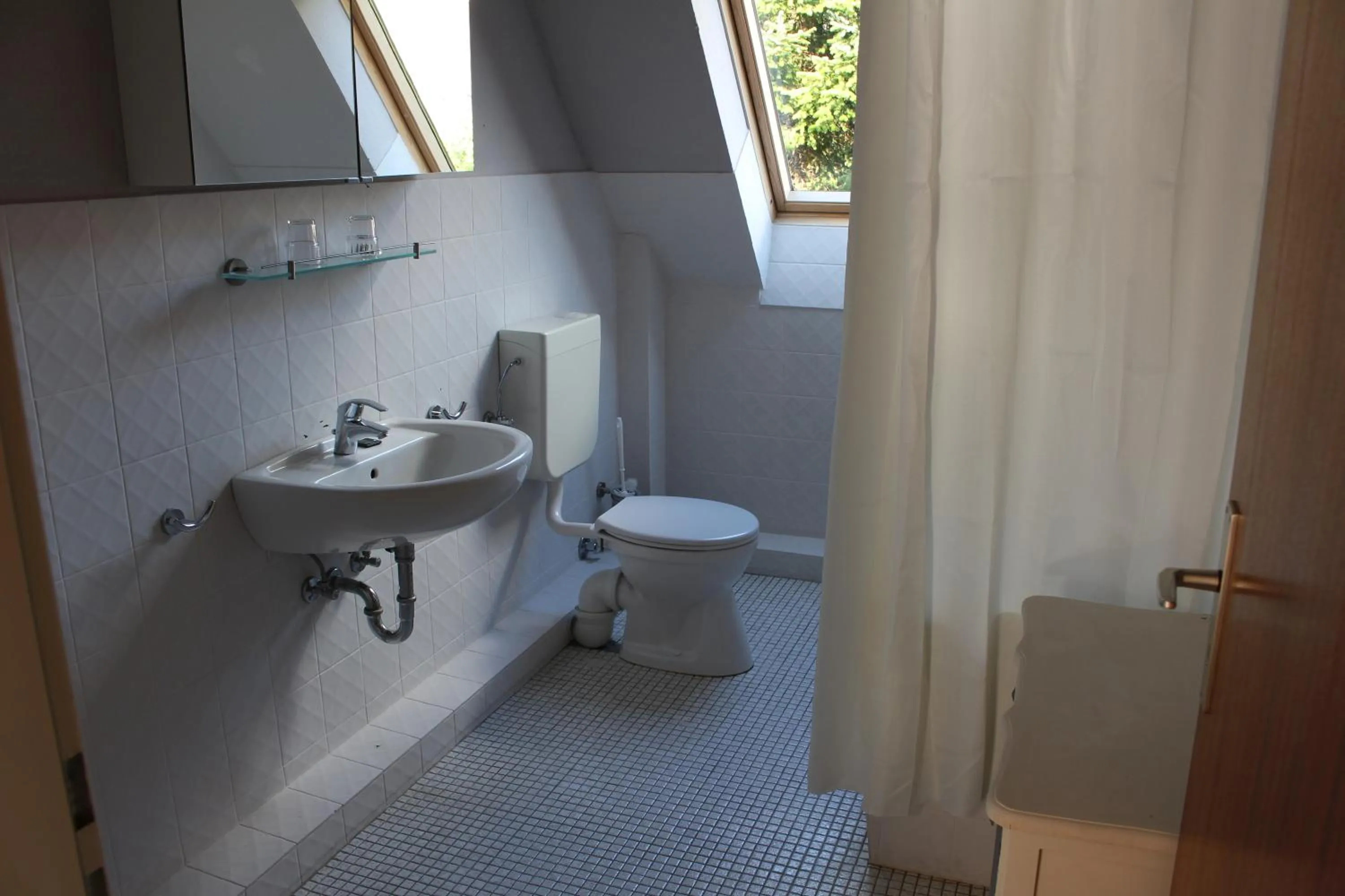 Toilet in Hotel zur Treene