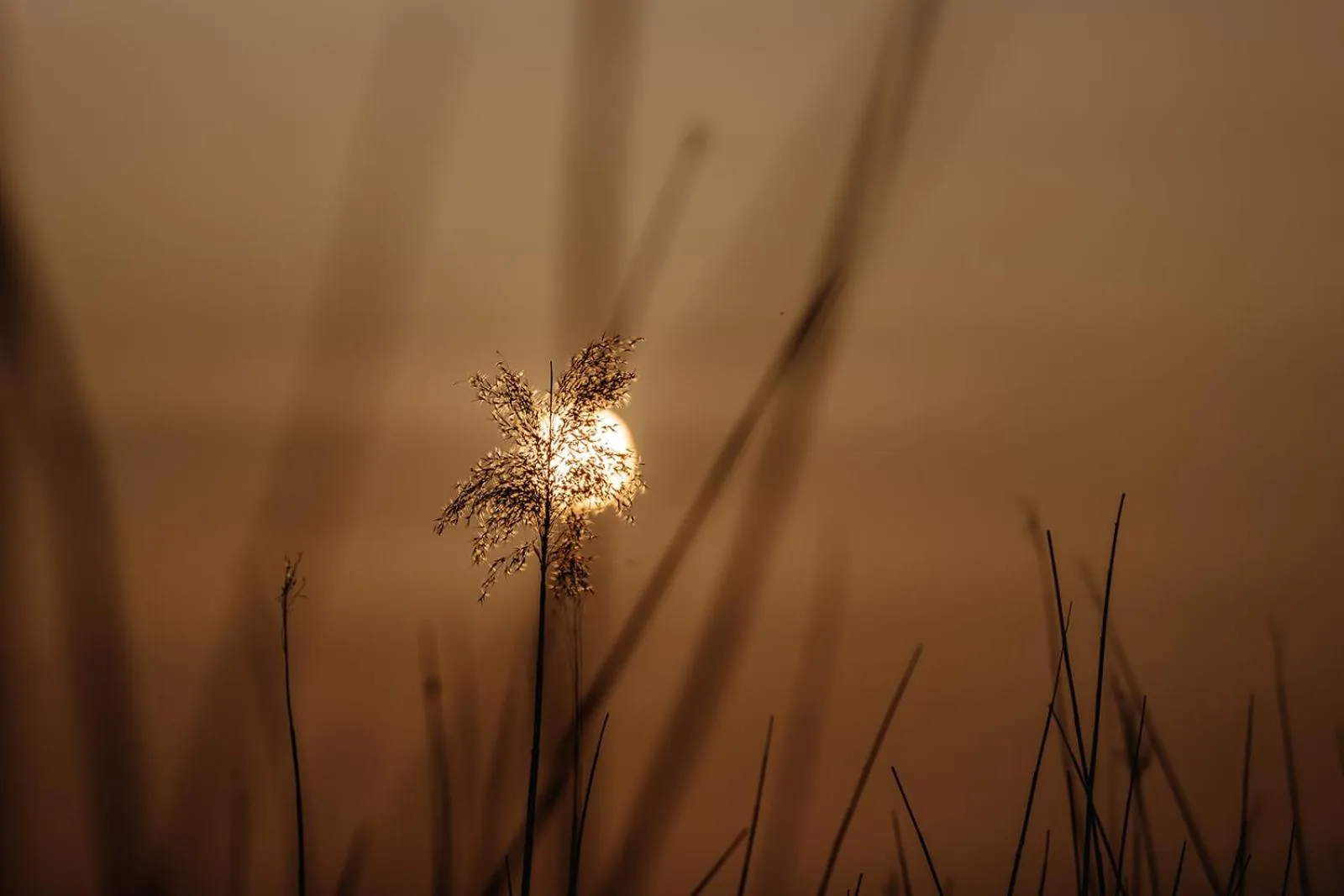 Natural landscape in Hotel zur Treene