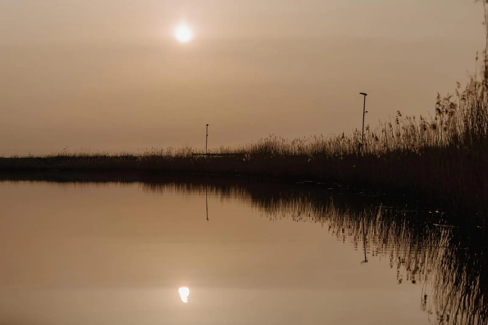 Natural landscape in Hotel zur Treene