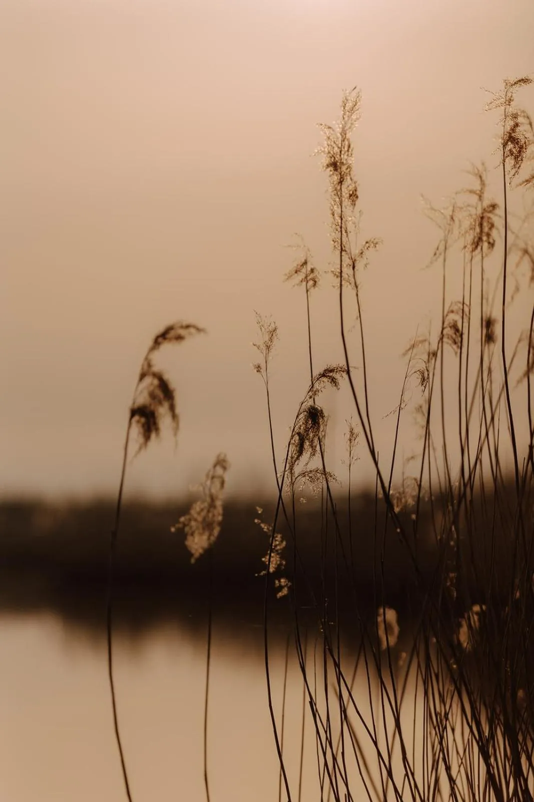 Natural landscape in Hotel zur Treene