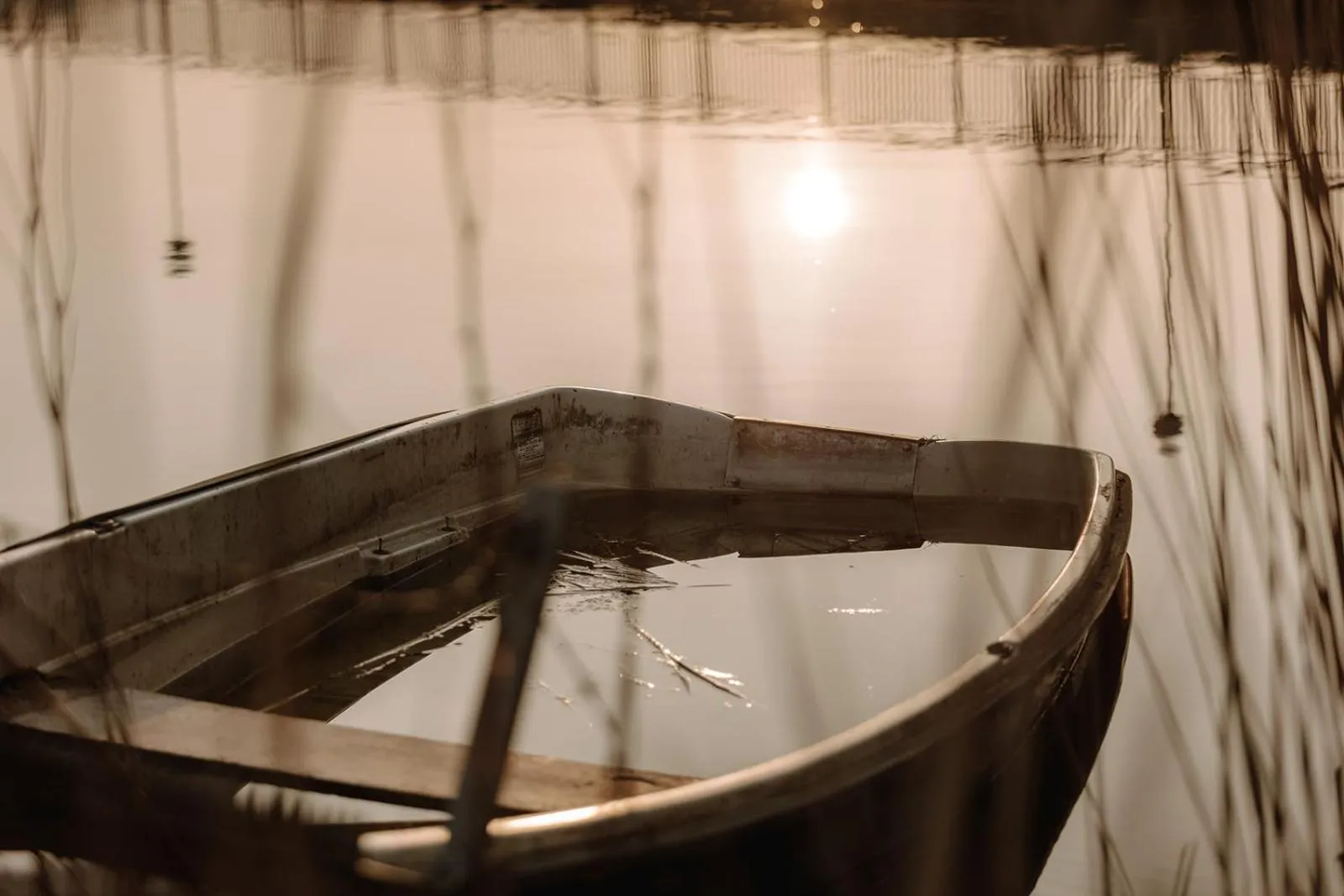 Natural landscape in Hotel zur Treene