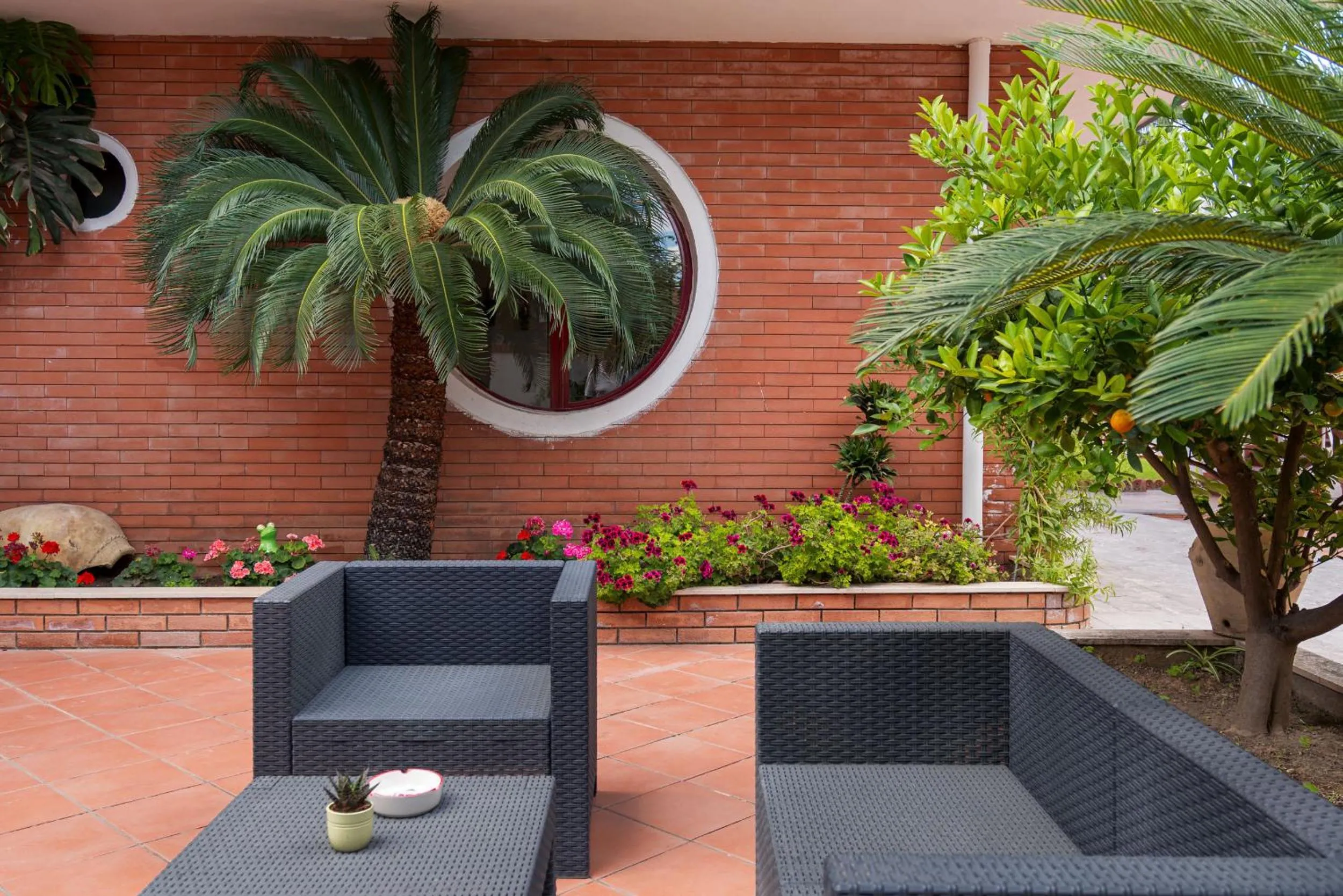 Garden in Hotel Alexander